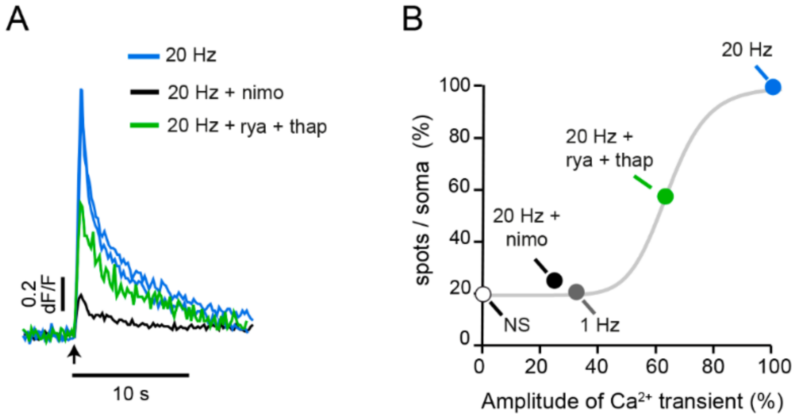 Ijms 23 01495 g007 Ijms 23 01495 g007