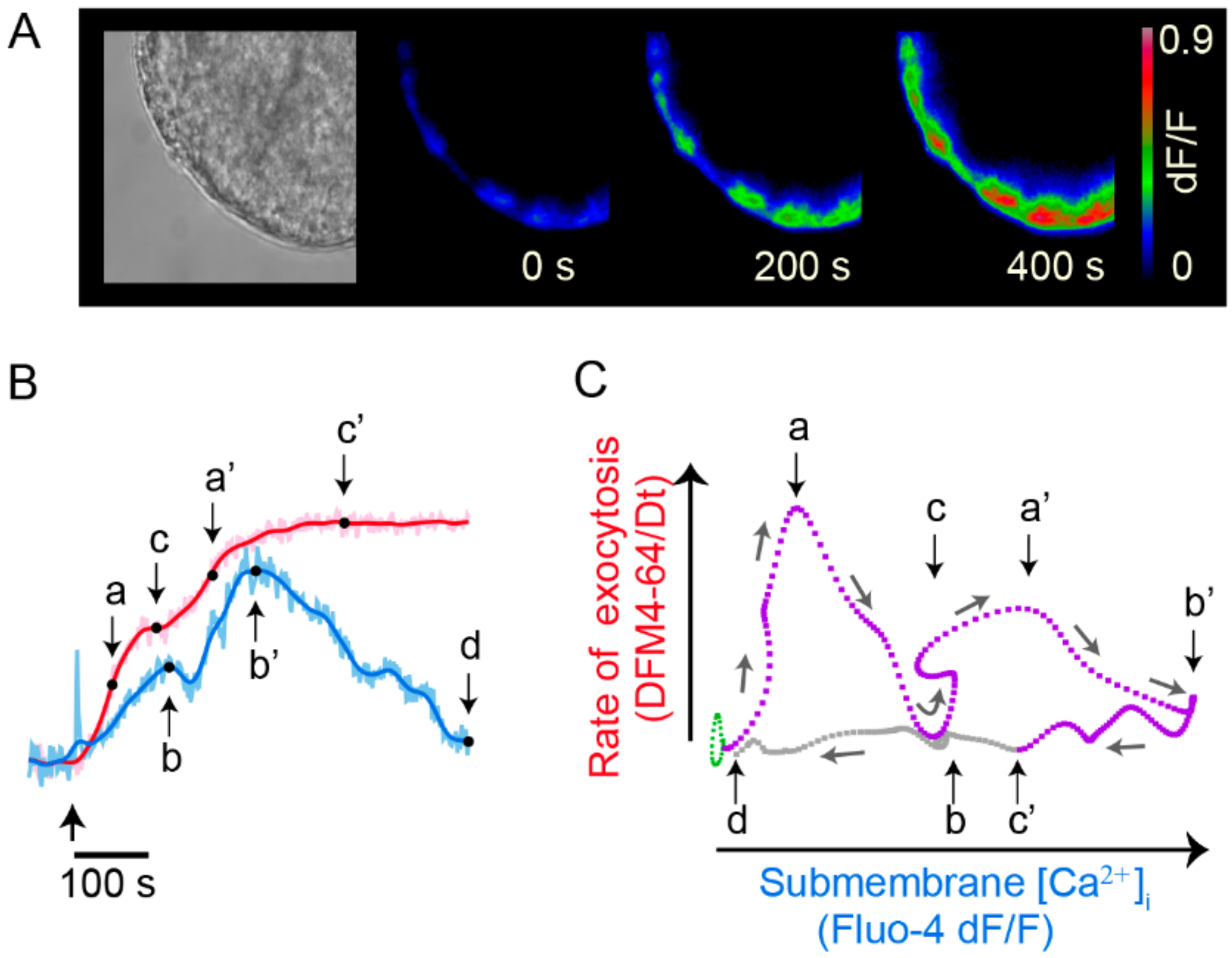 Ijms 23 01495 g008 Ijms 23 01495 g008