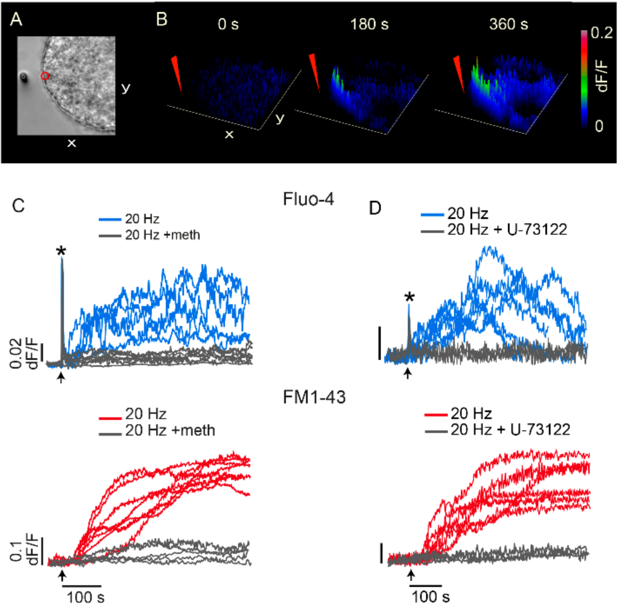 Ijms 23 01495 g009 Ijms 23 01495 g009