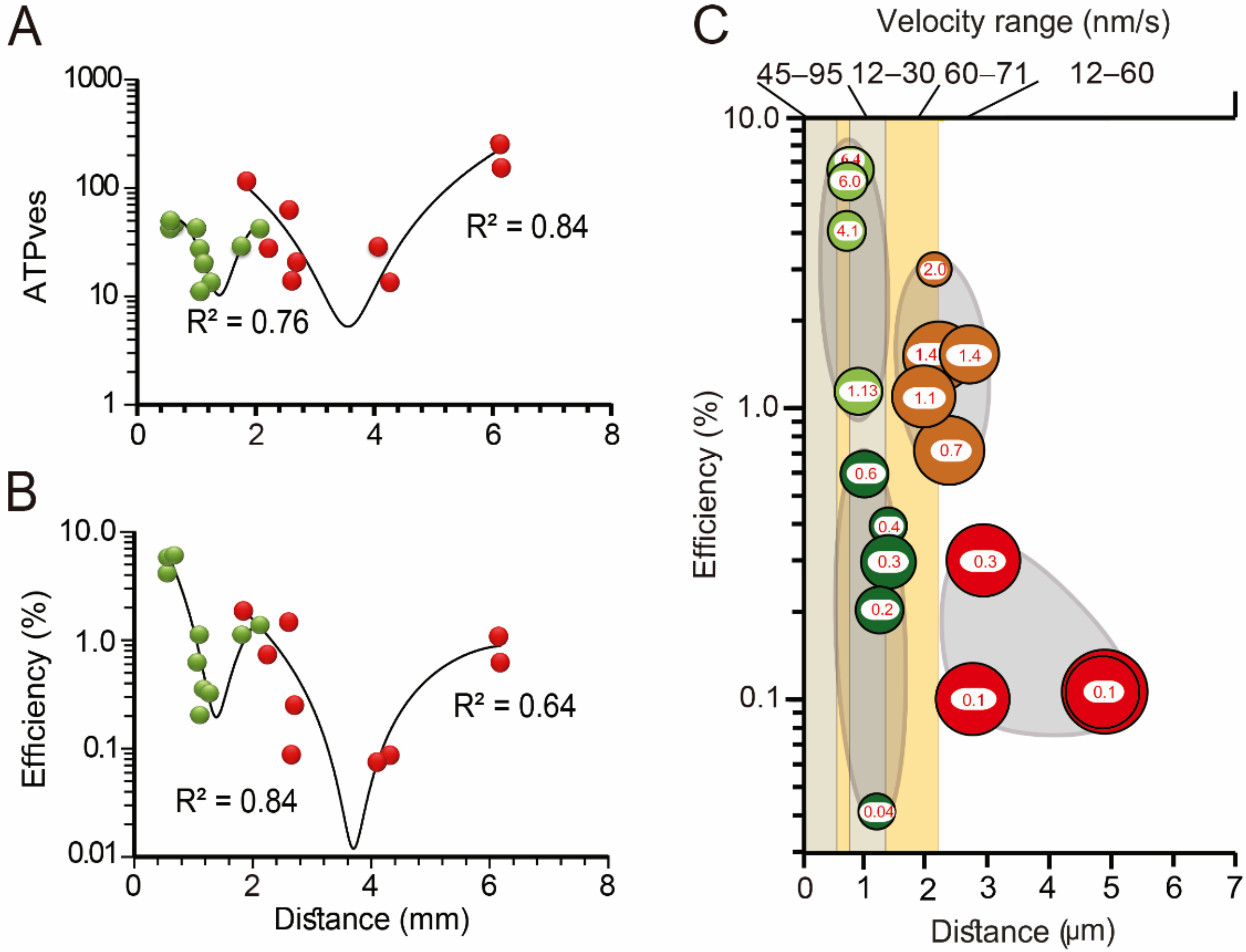 Ijms 23 01495 g012 Ijms 23 01495 g012