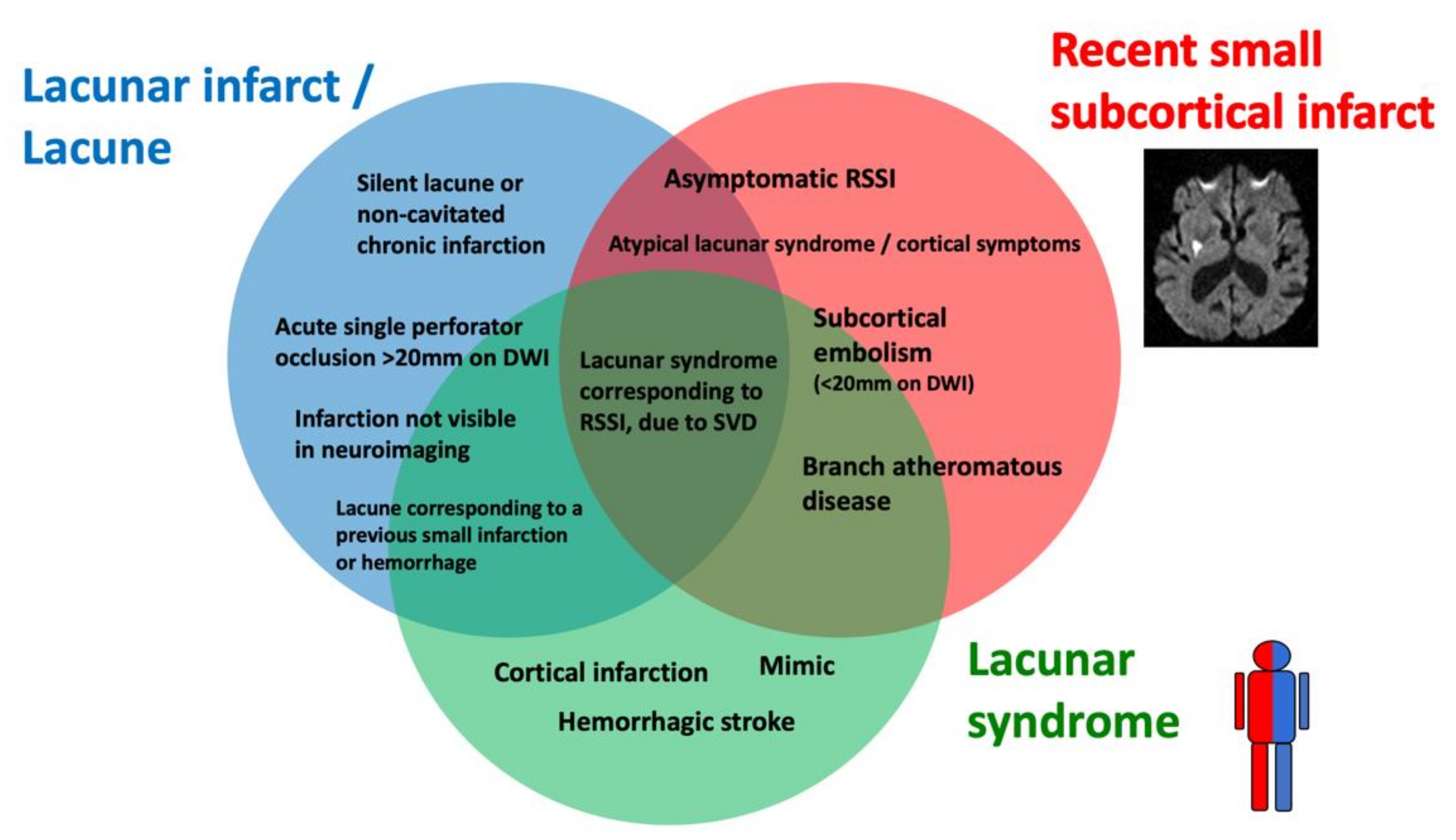 IJMS | Free Full-Text | The Potential Impact of Neuroimaging and ...