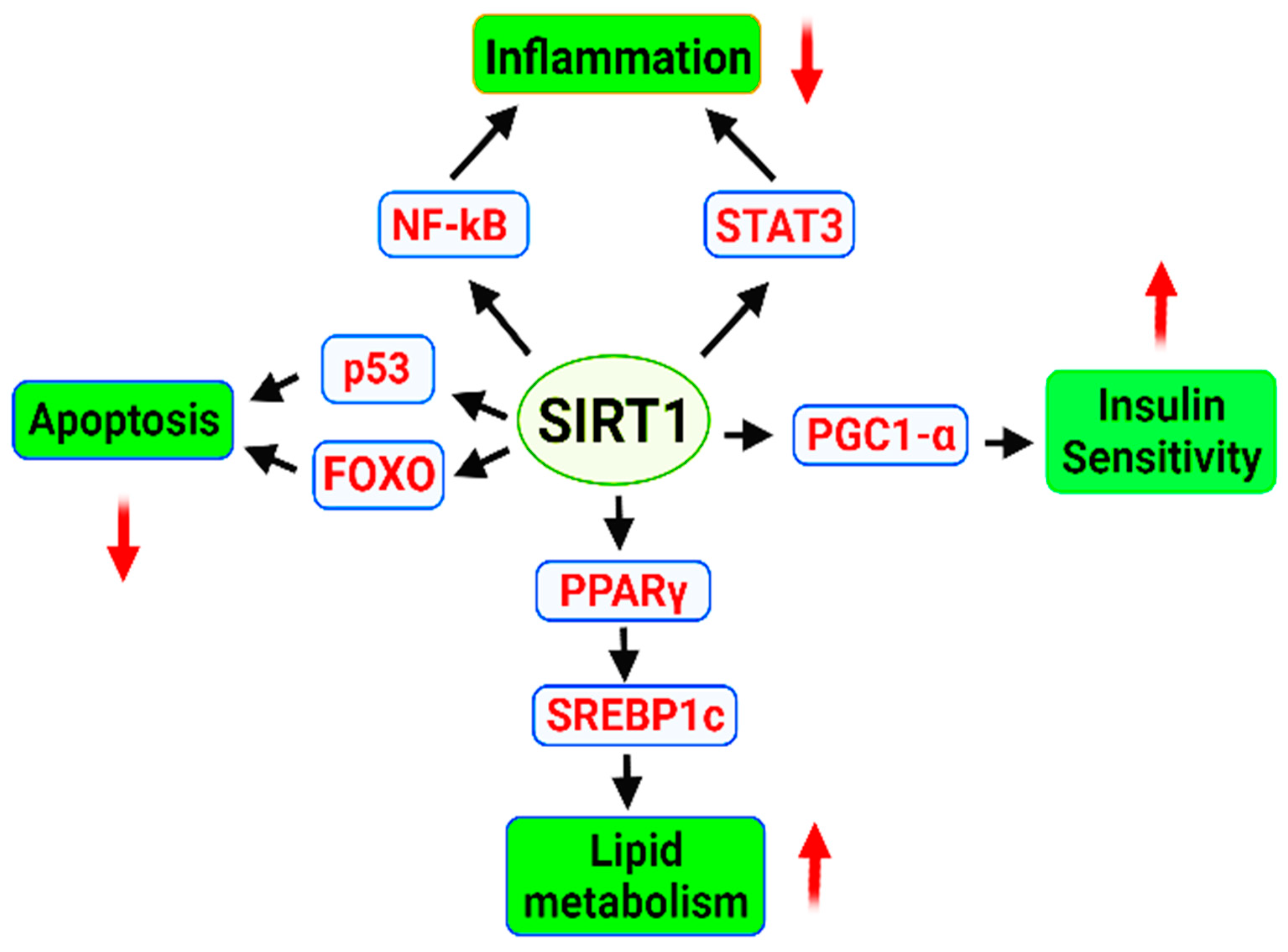 https://www.mdpi.com/ijms/ijms-23-01499/article_deploy/html/images/ijms-23-01499-g001.png