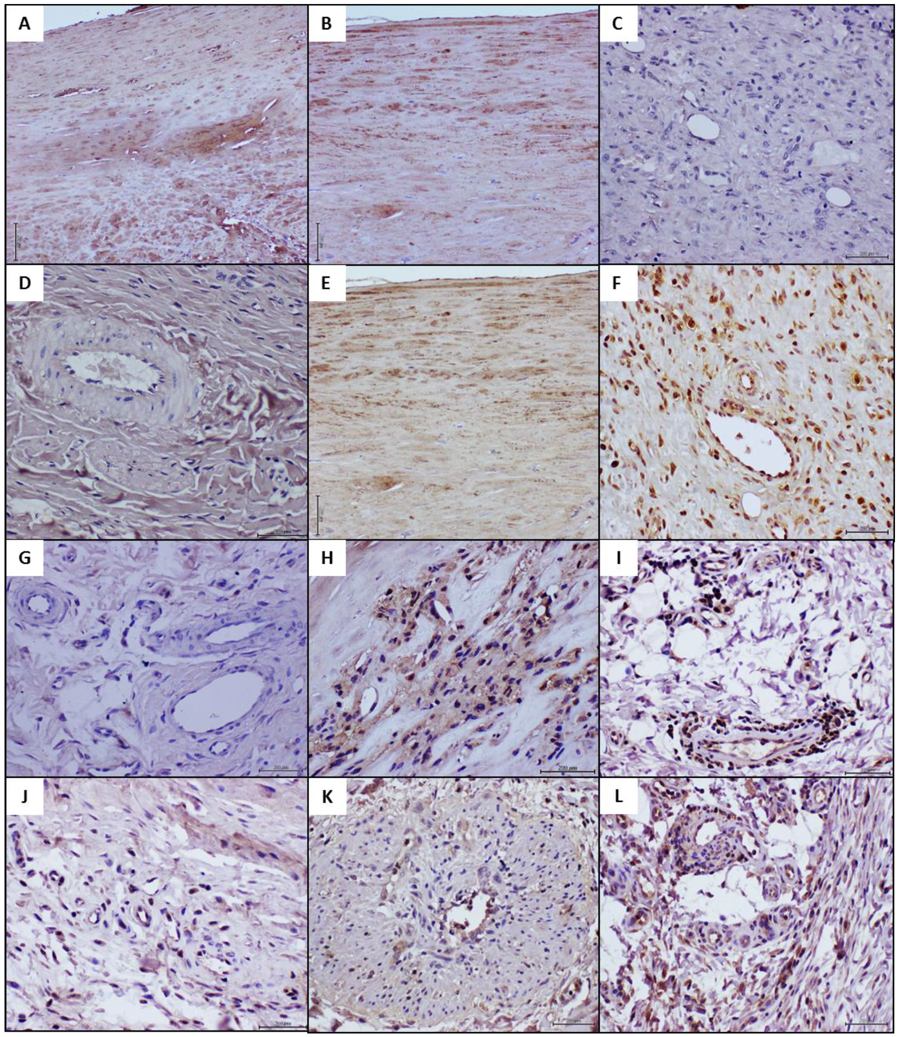Ijms 23 01511 g004a