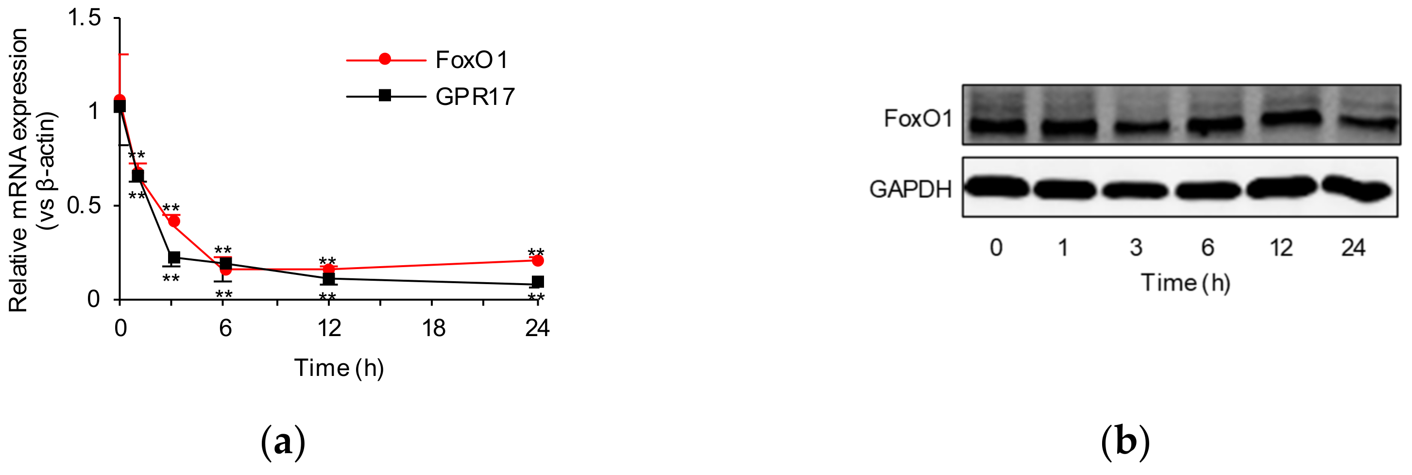 Ijms 23 01513 g001a 550