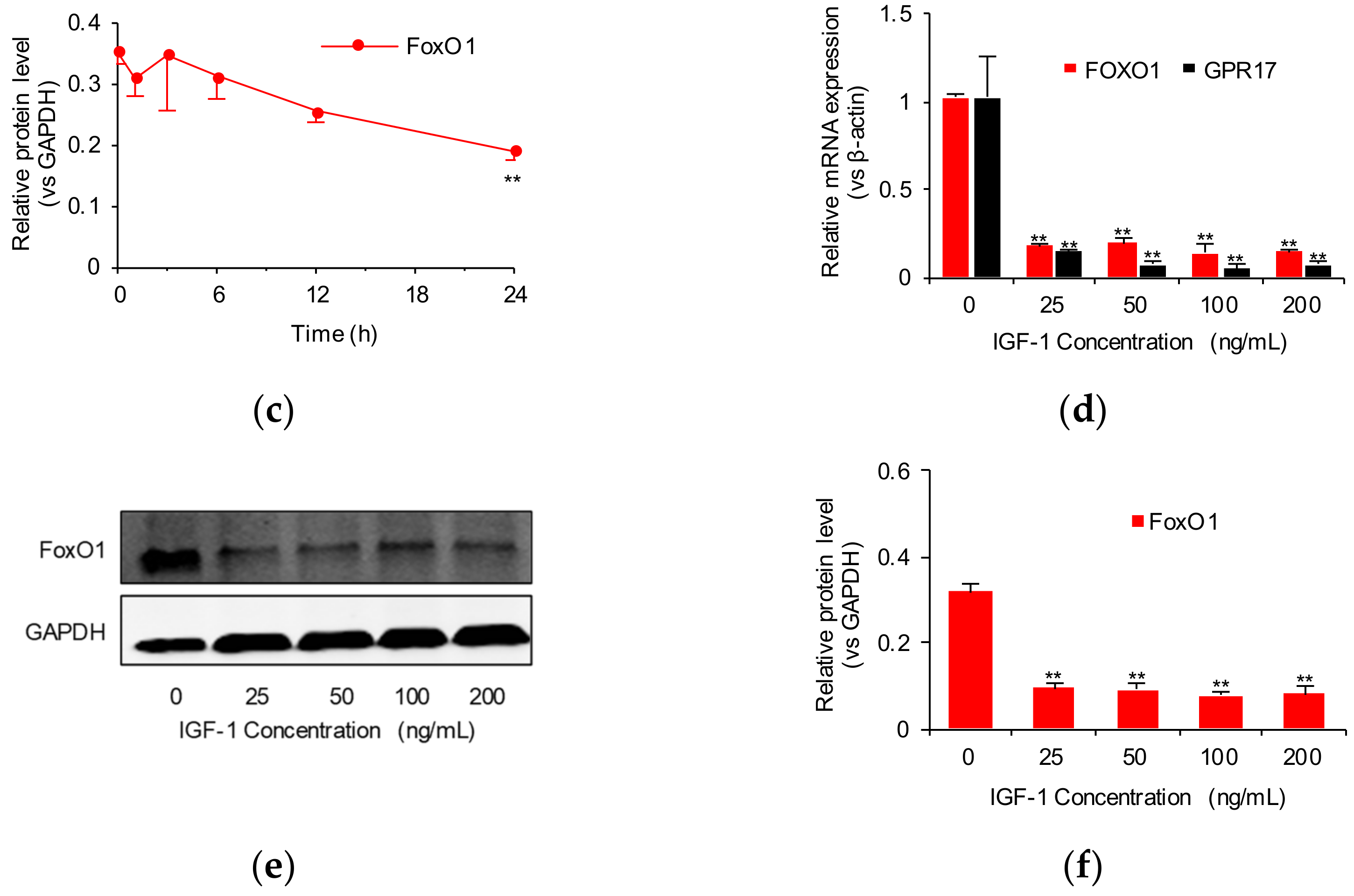 Ijms 23 01513 g001b 550