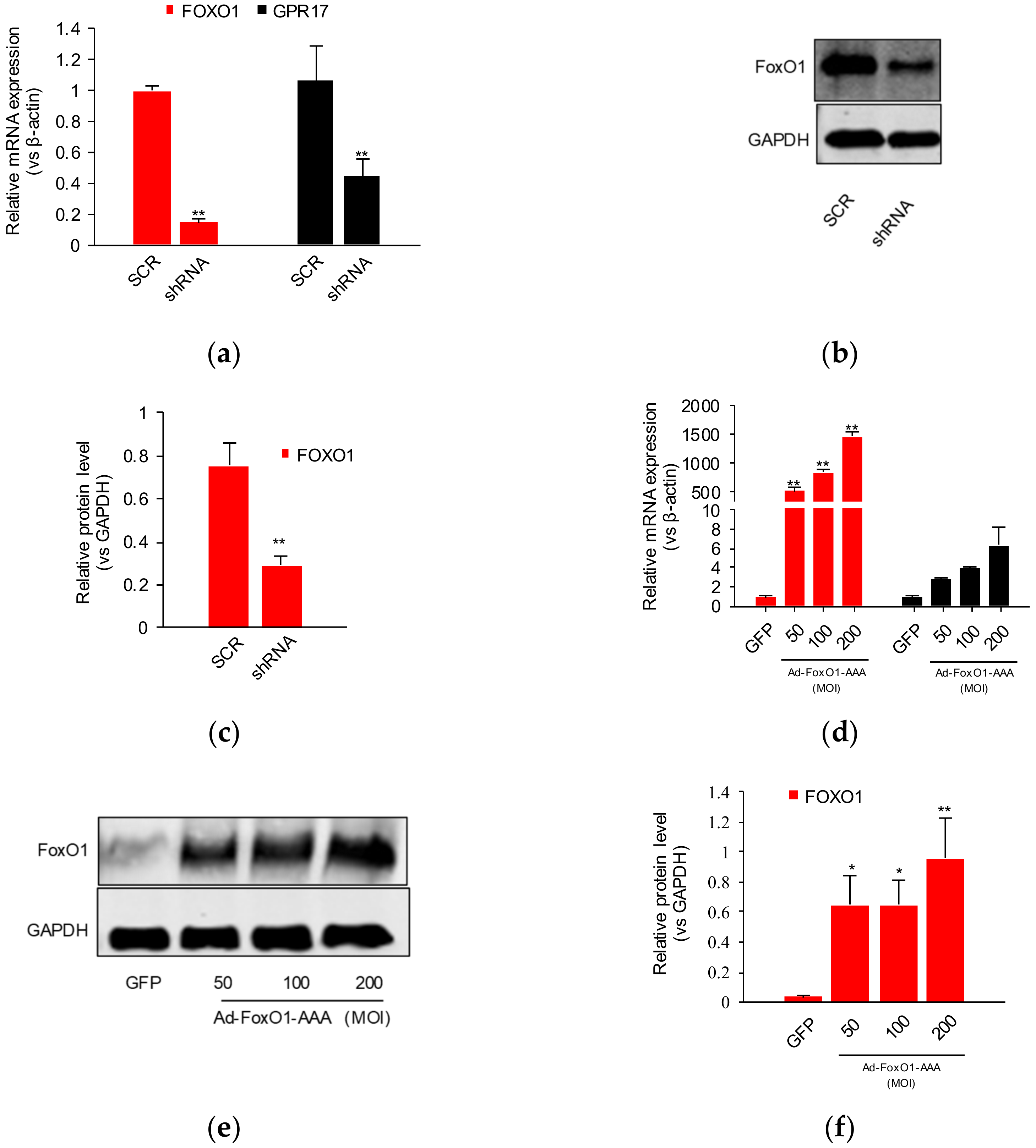 Ijms 23 01513 g003 550
