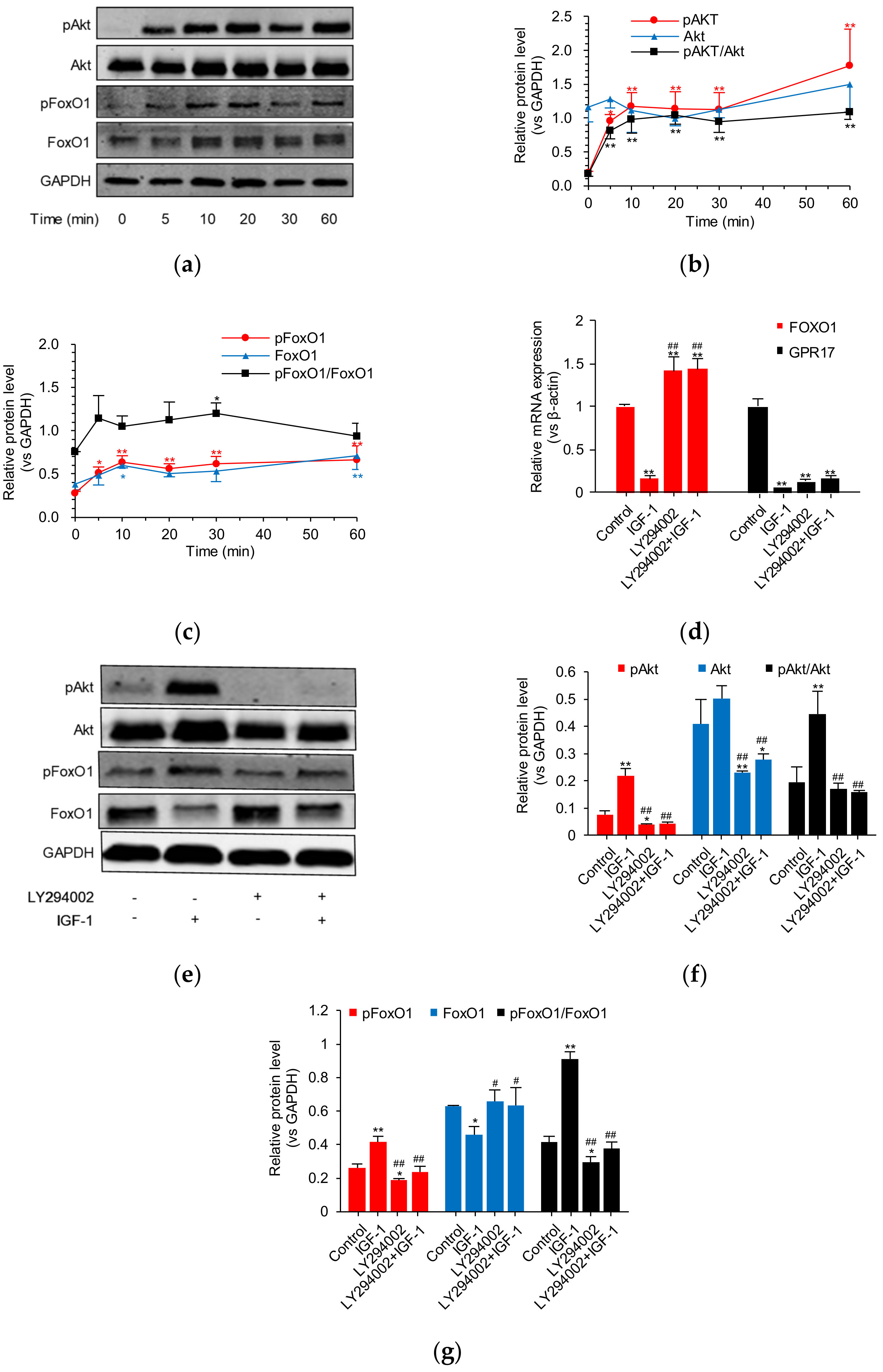 Ijms 23 01513 g004 550