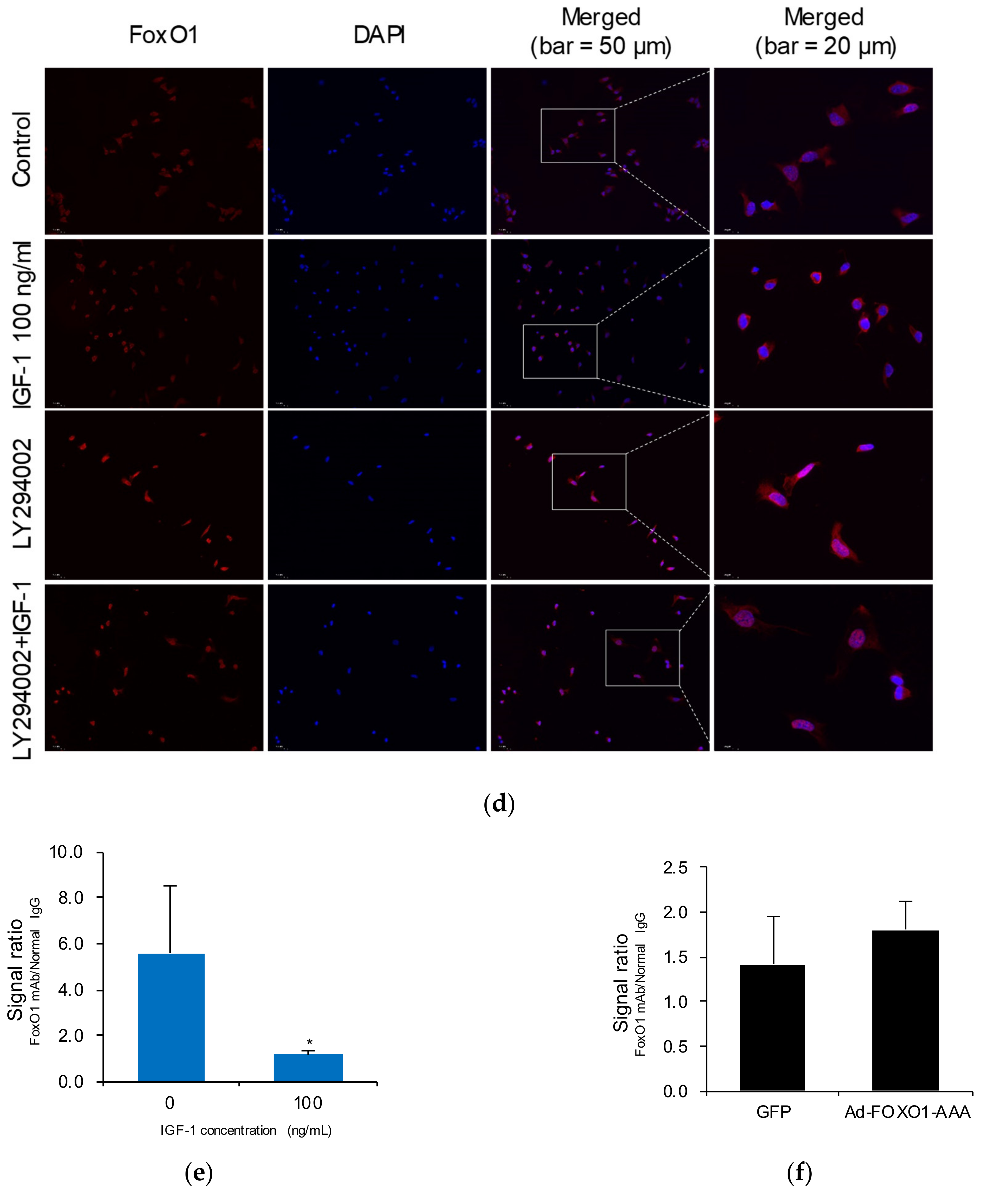 Ijms 23 01513 g005b 550