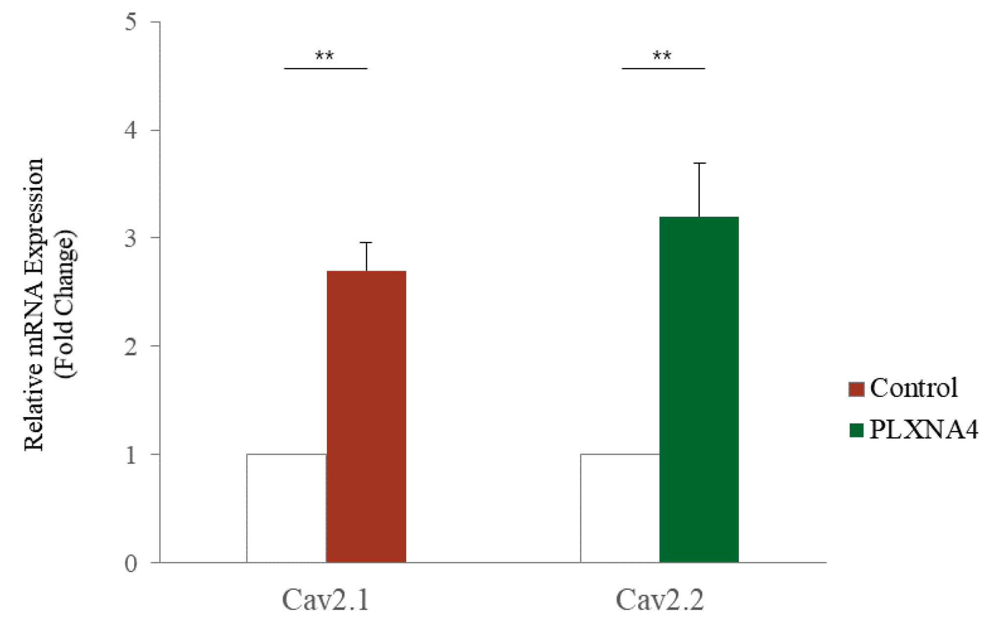 Ijms 23 01522 g006 550