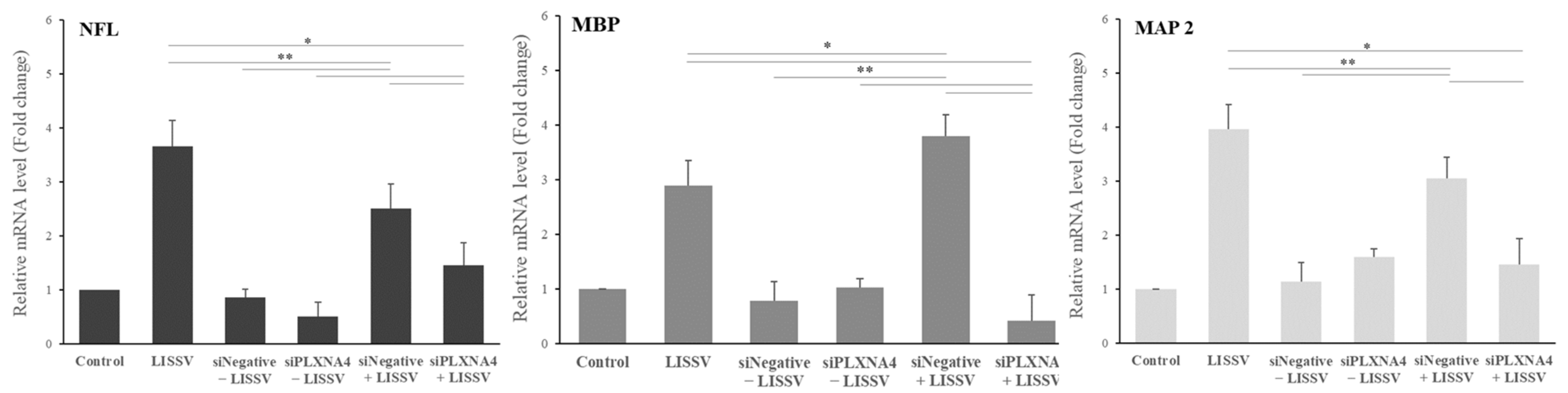 Ijms 23 01522 g009 550