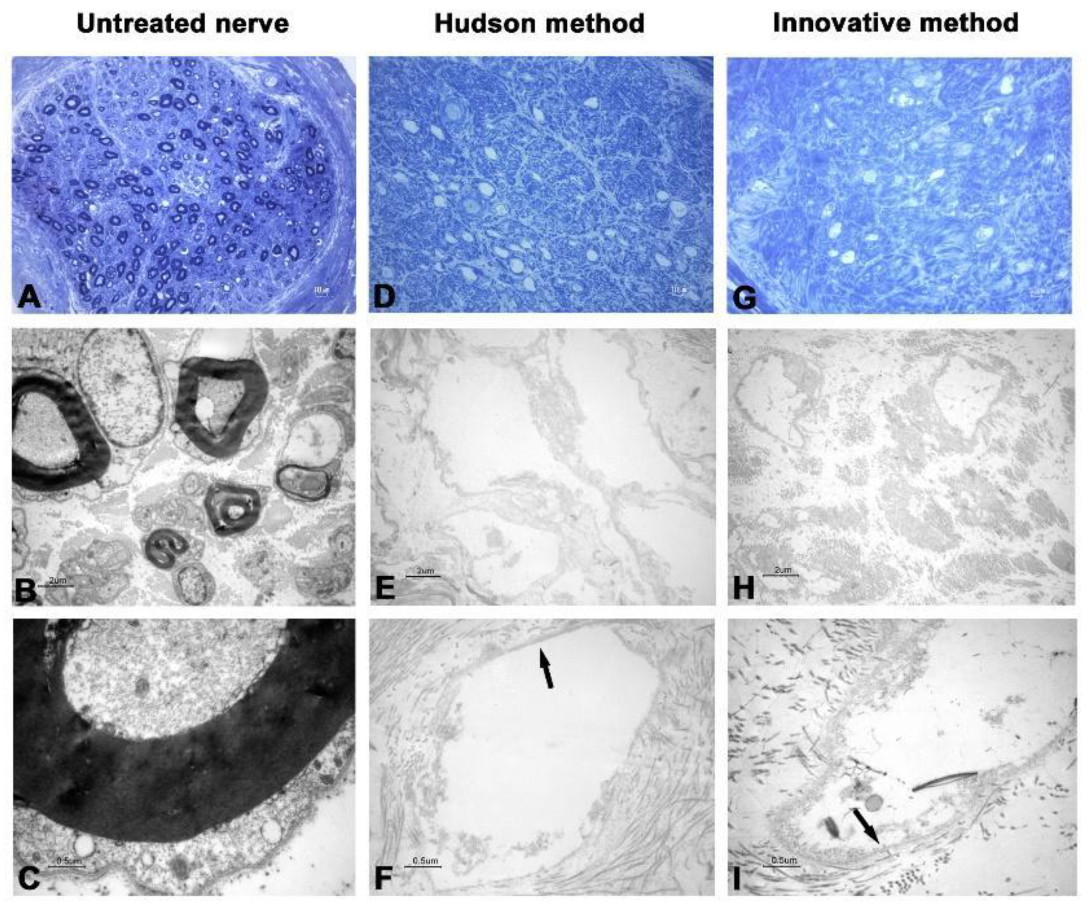 Ijms 23 01530 g001 550