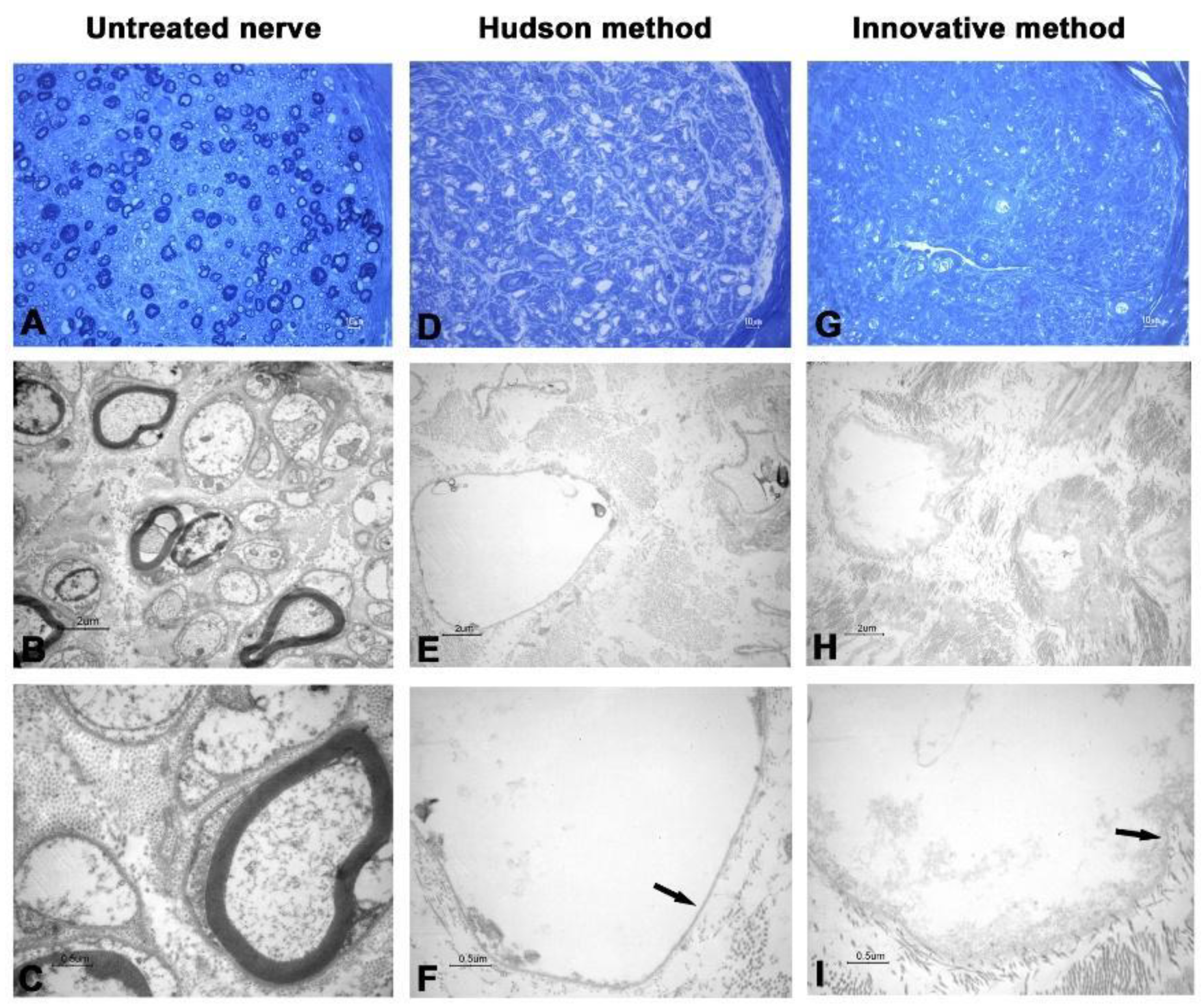 Ijms 23 01530 g002 550