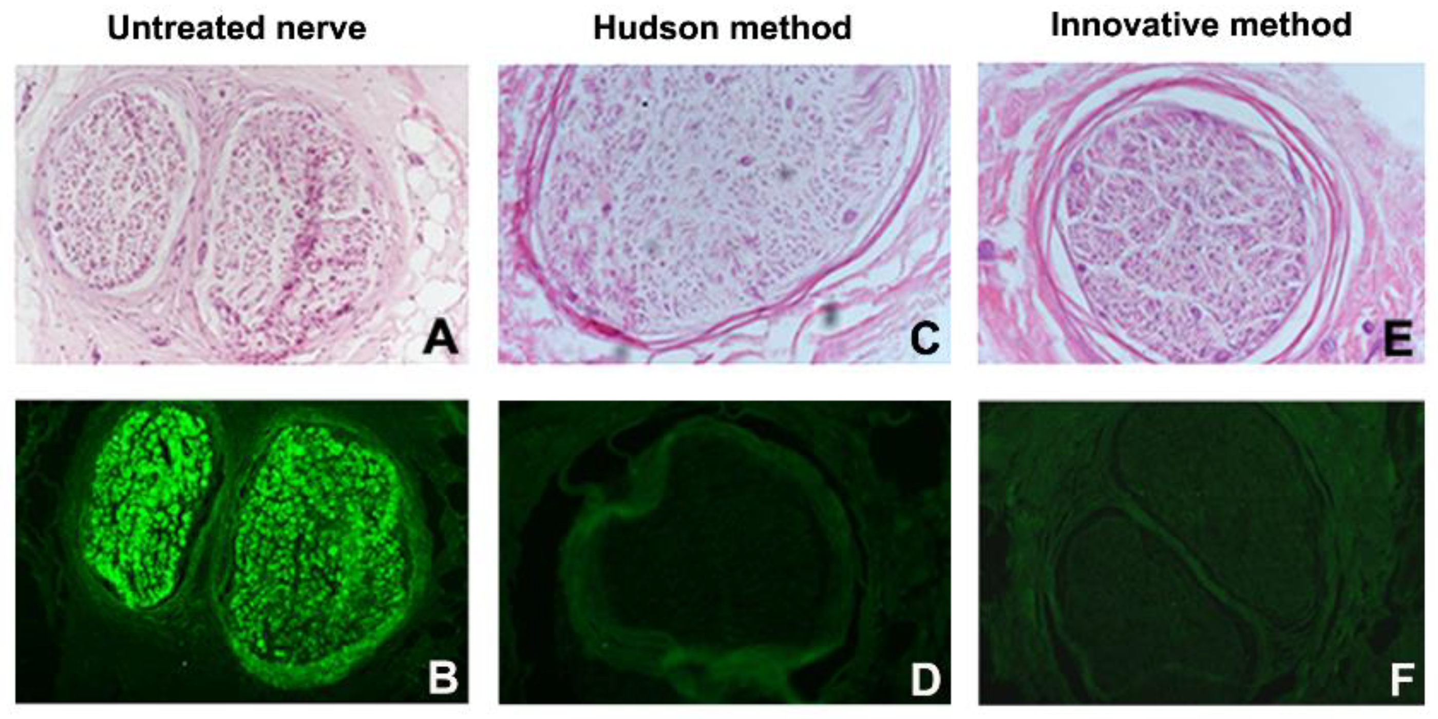 Ijms 23 01530 g003 550