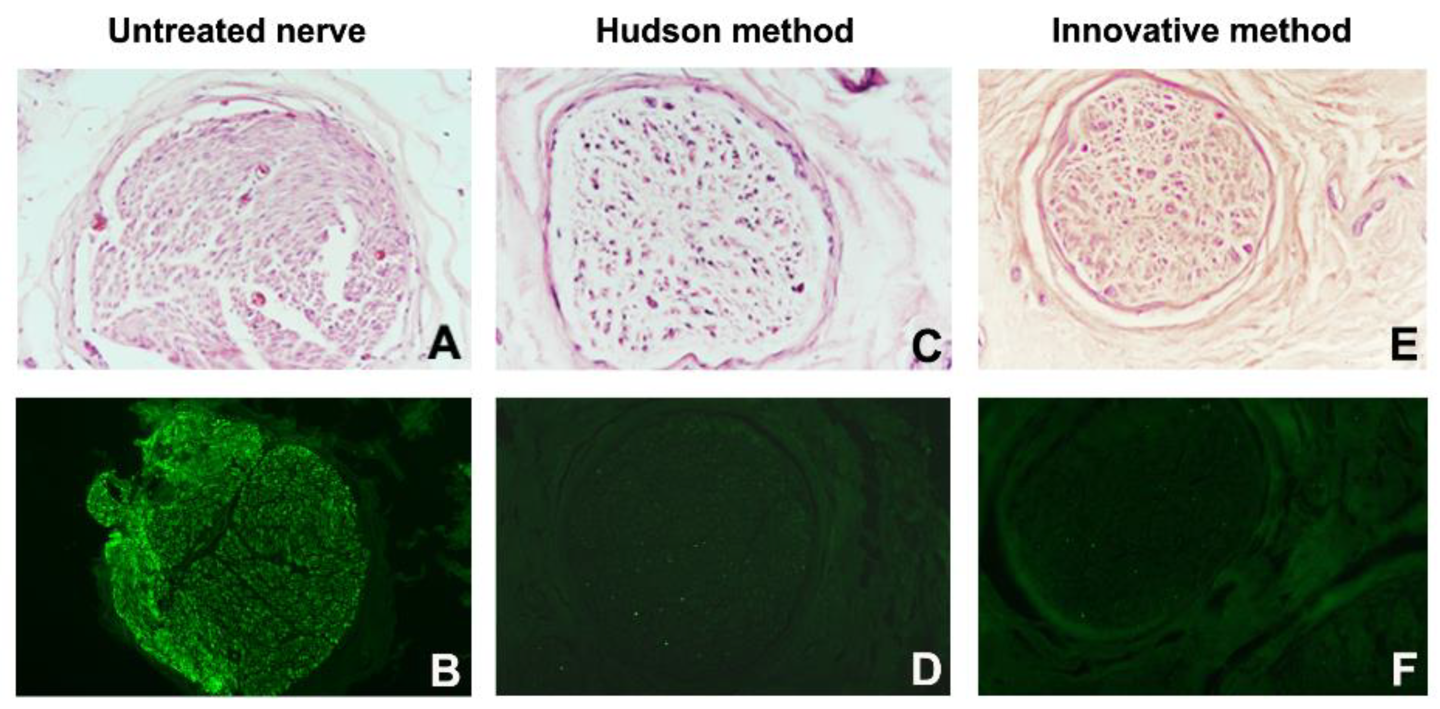 Ijms 23 01530 g004 550