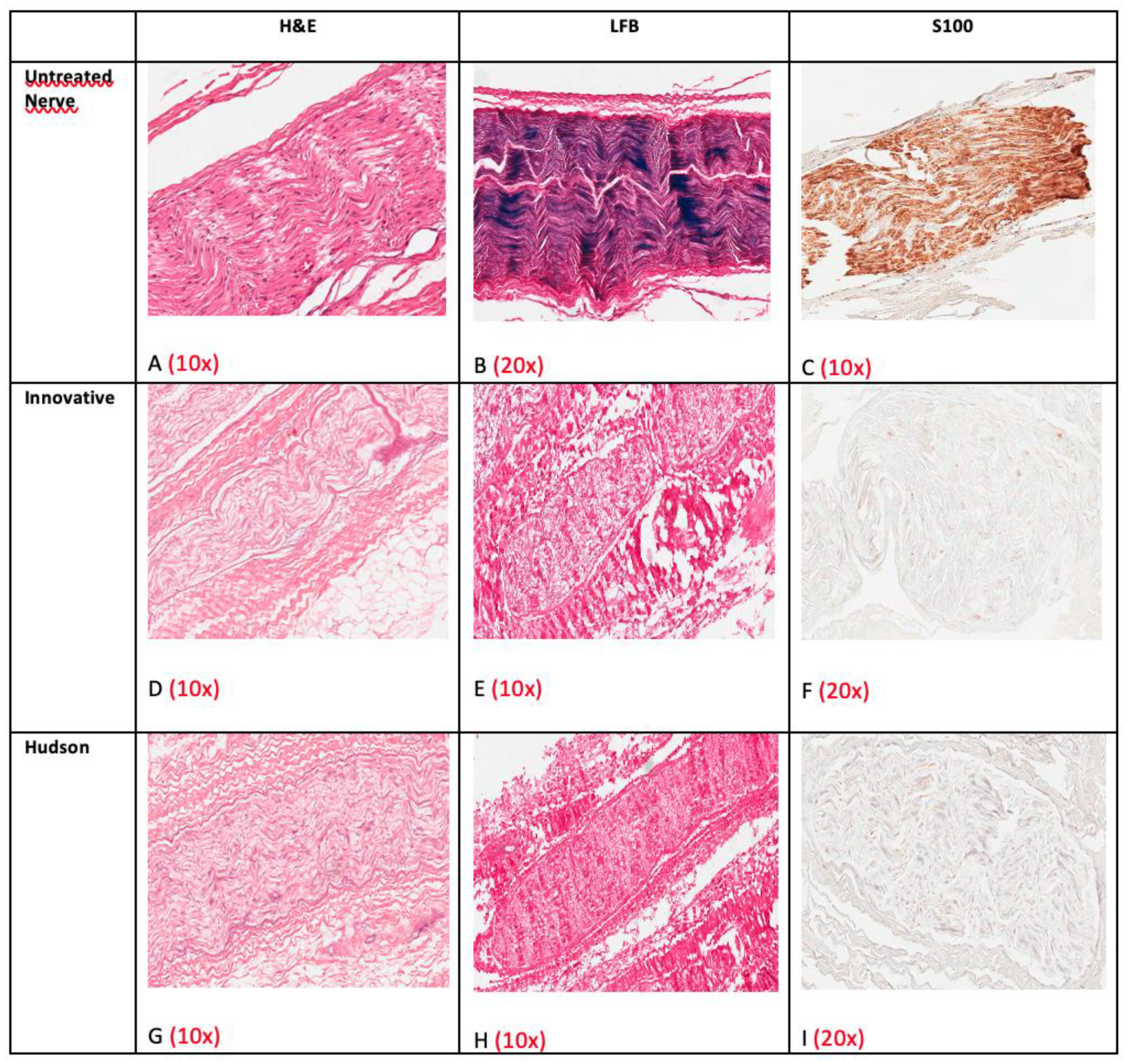 Ijms 23 01530 g008 550