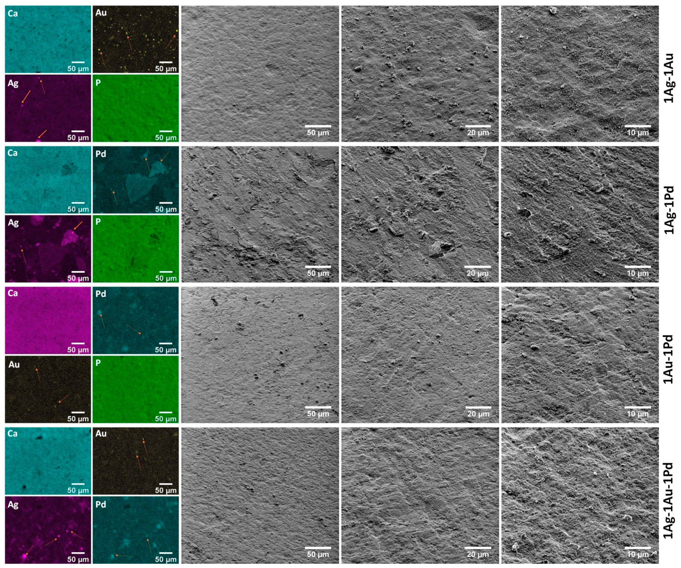 Ijms 23 01533 g003 550