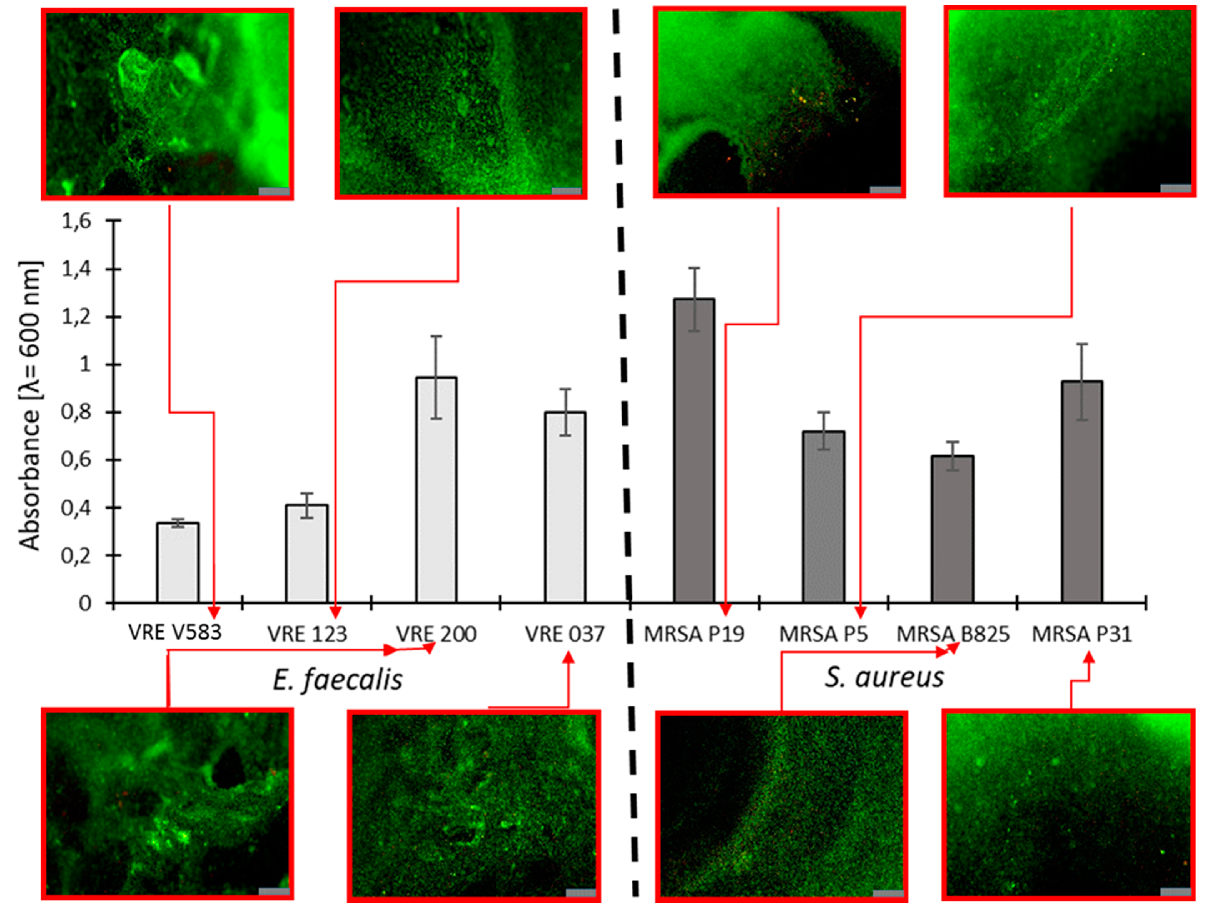 Ijms 23 01533 g004 550