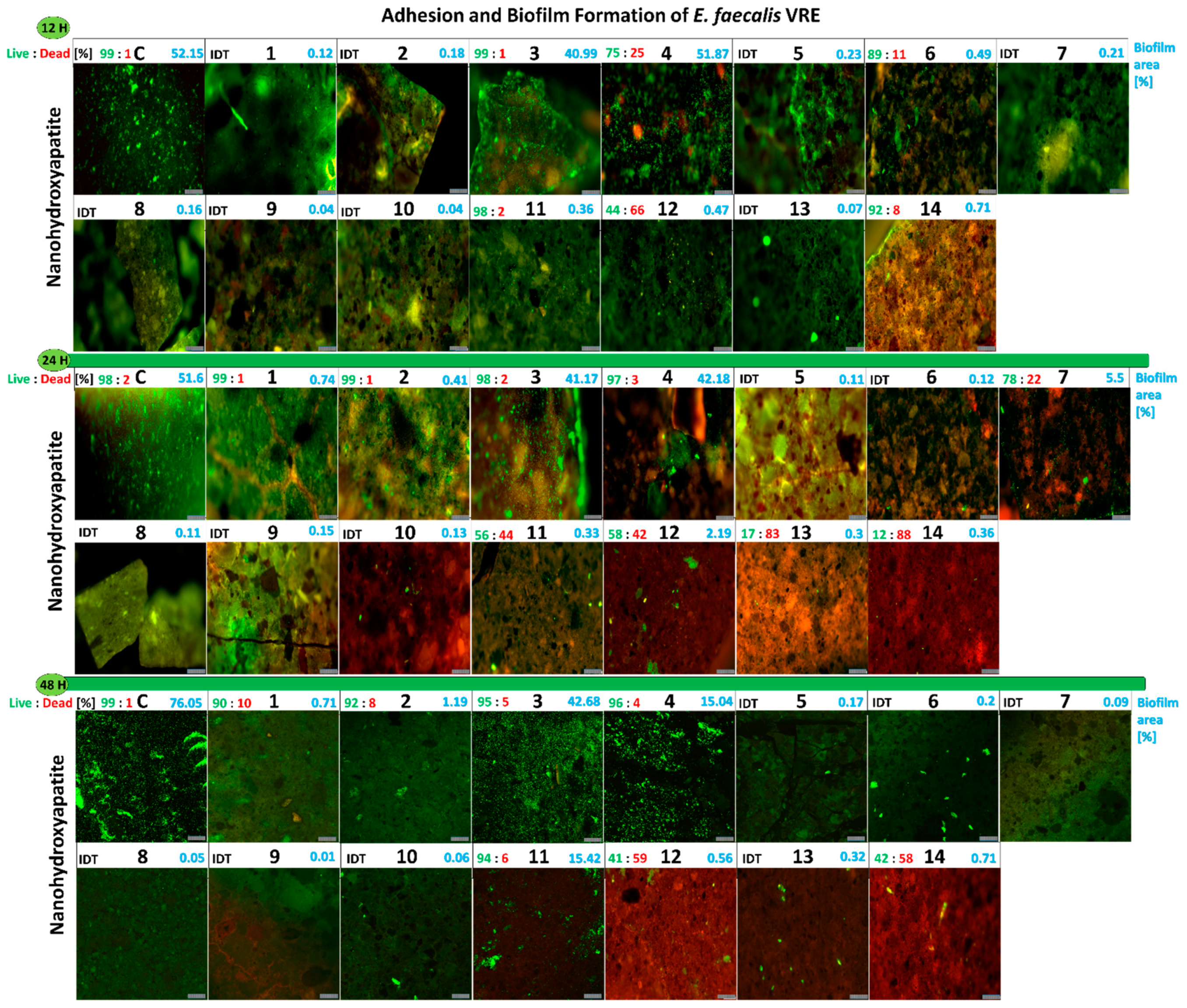 Ijms 23 01533 g007 550