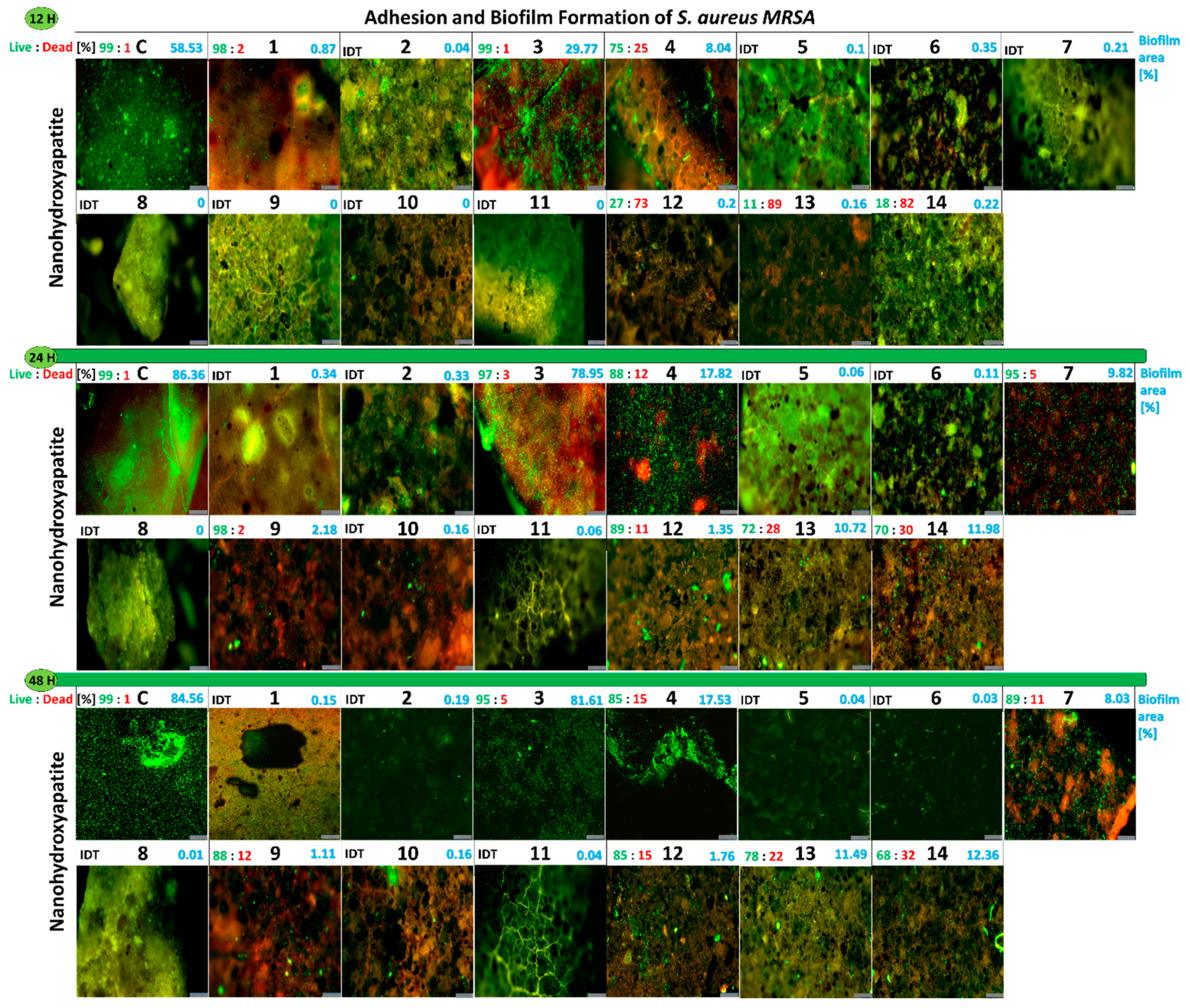 Ijms 23 01533 g008 550