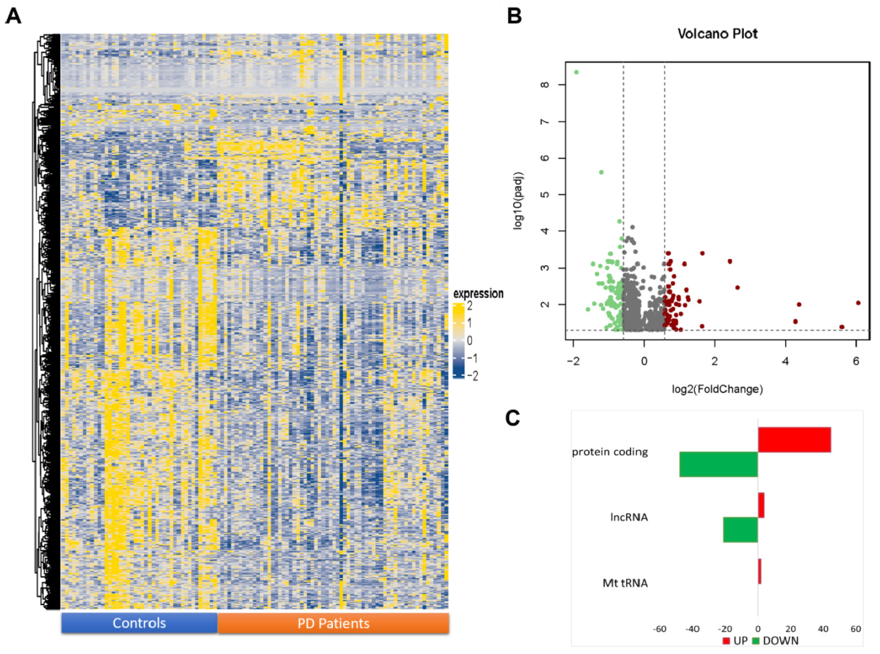 Ijms 23 01535 g001 550