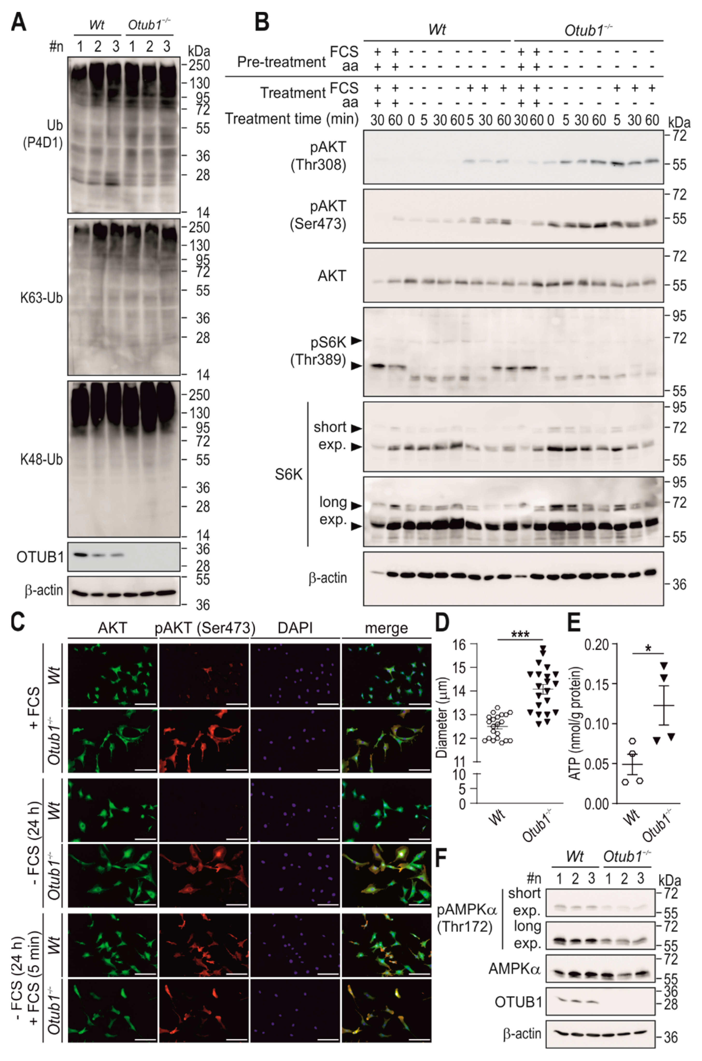 Ijms 23 01536 g003 550