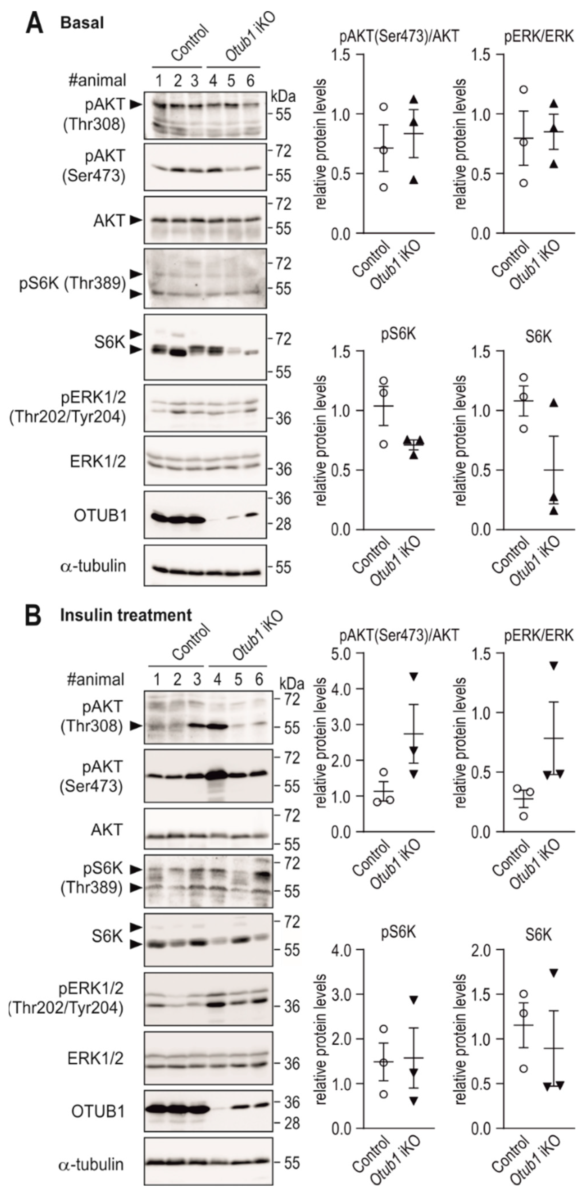 Ijms 23 01536 g005 550
