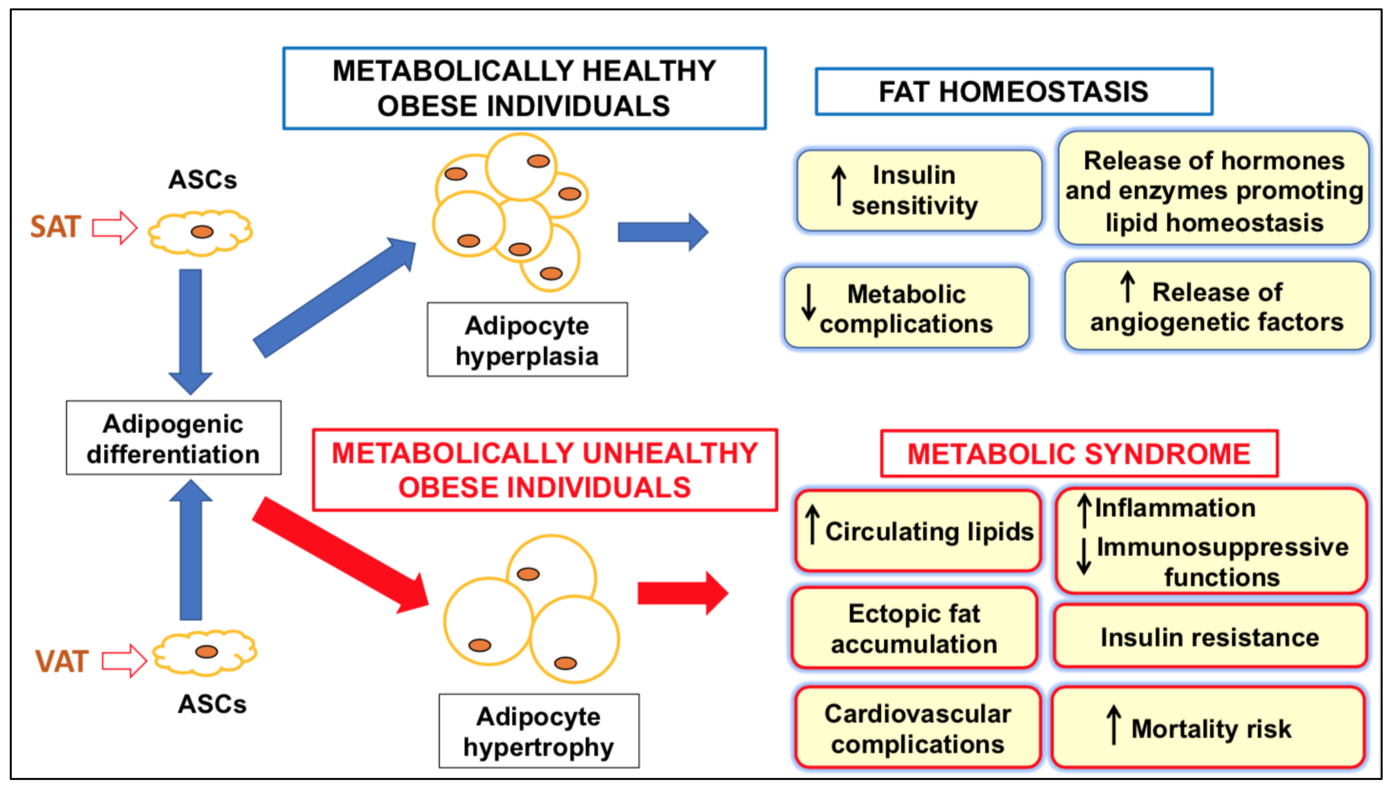 Ijms 23 01543 g001 550