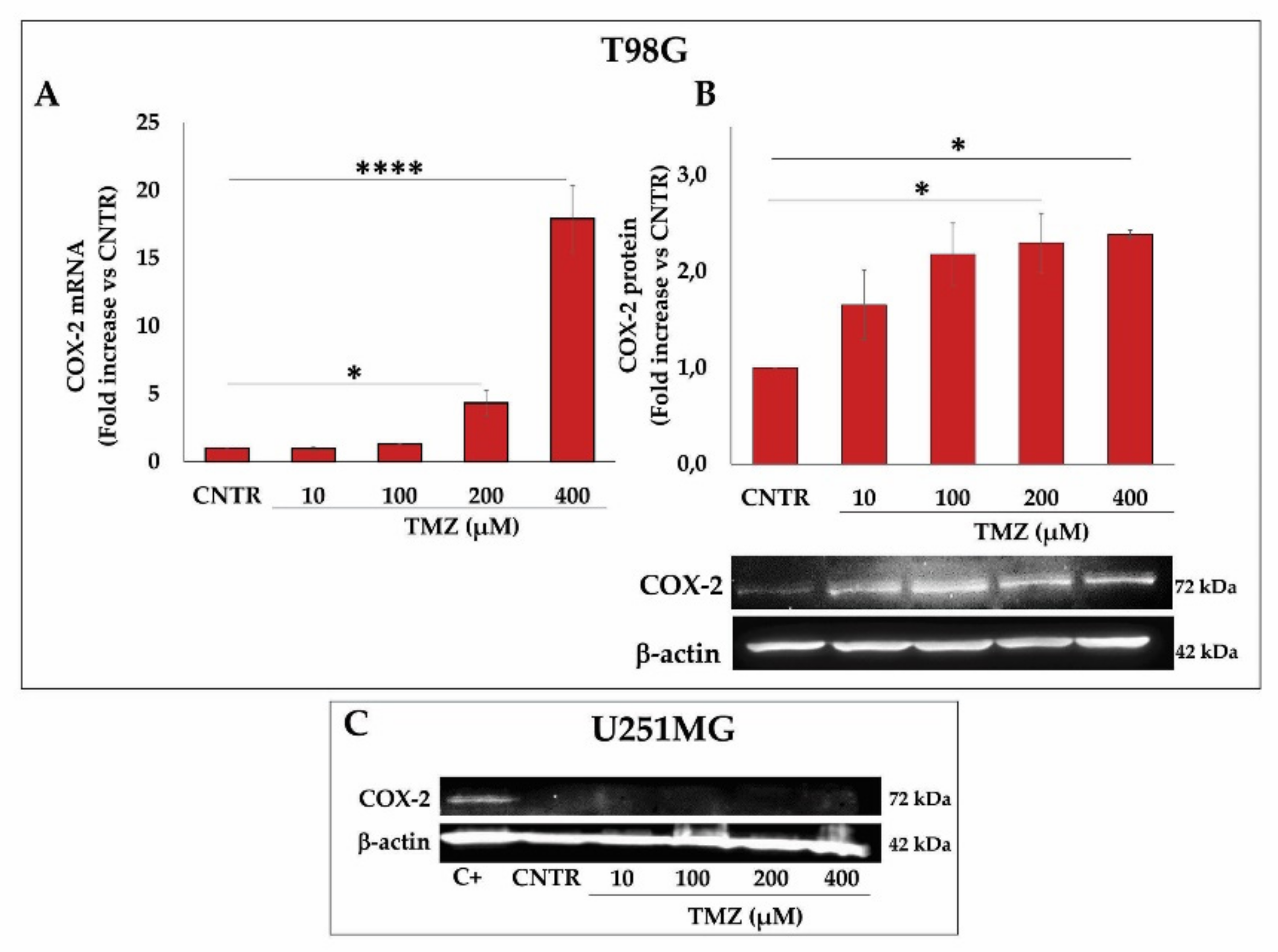 Ijms 23 01545 g002 550