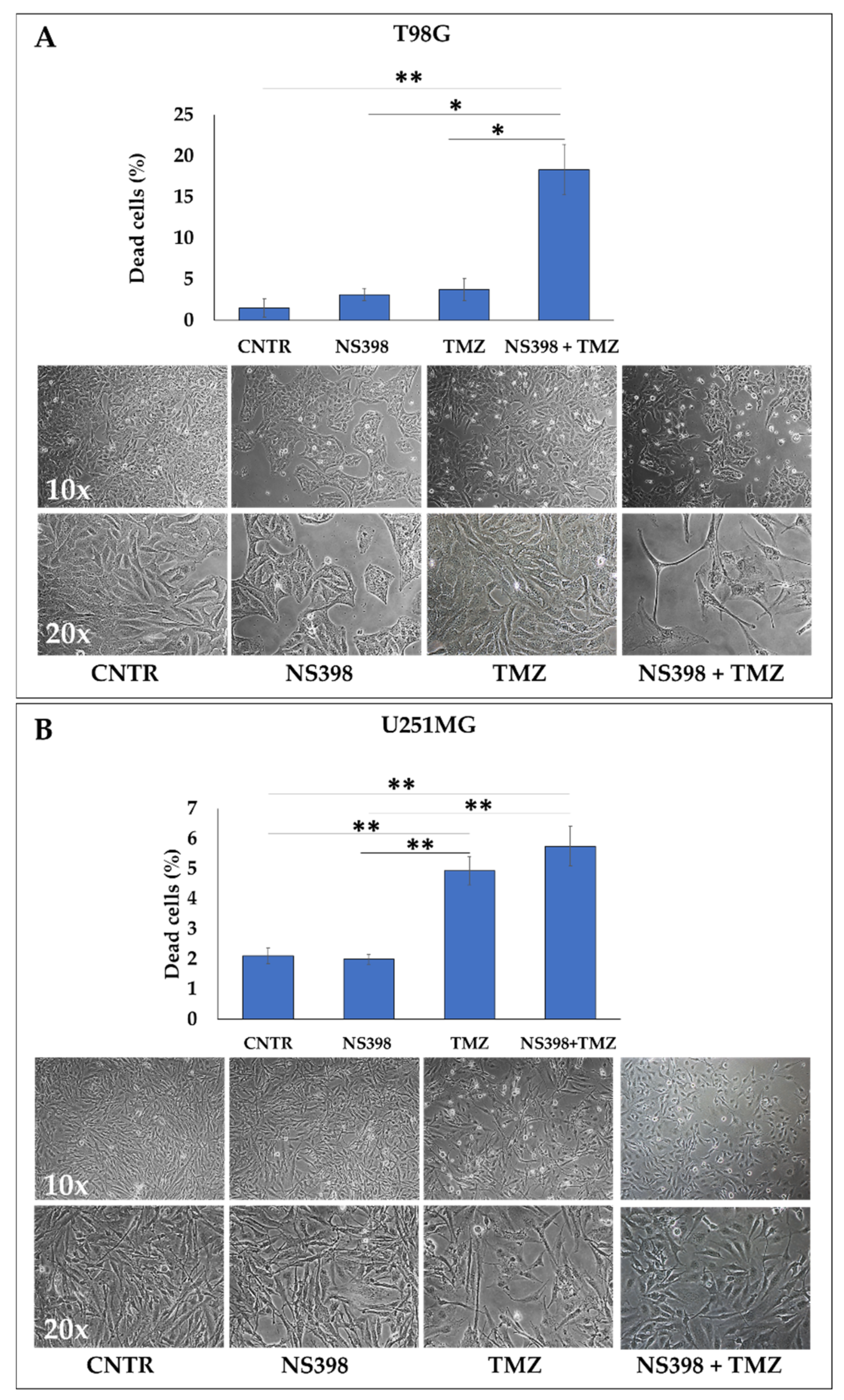 Ijms 23 01545 g005 550