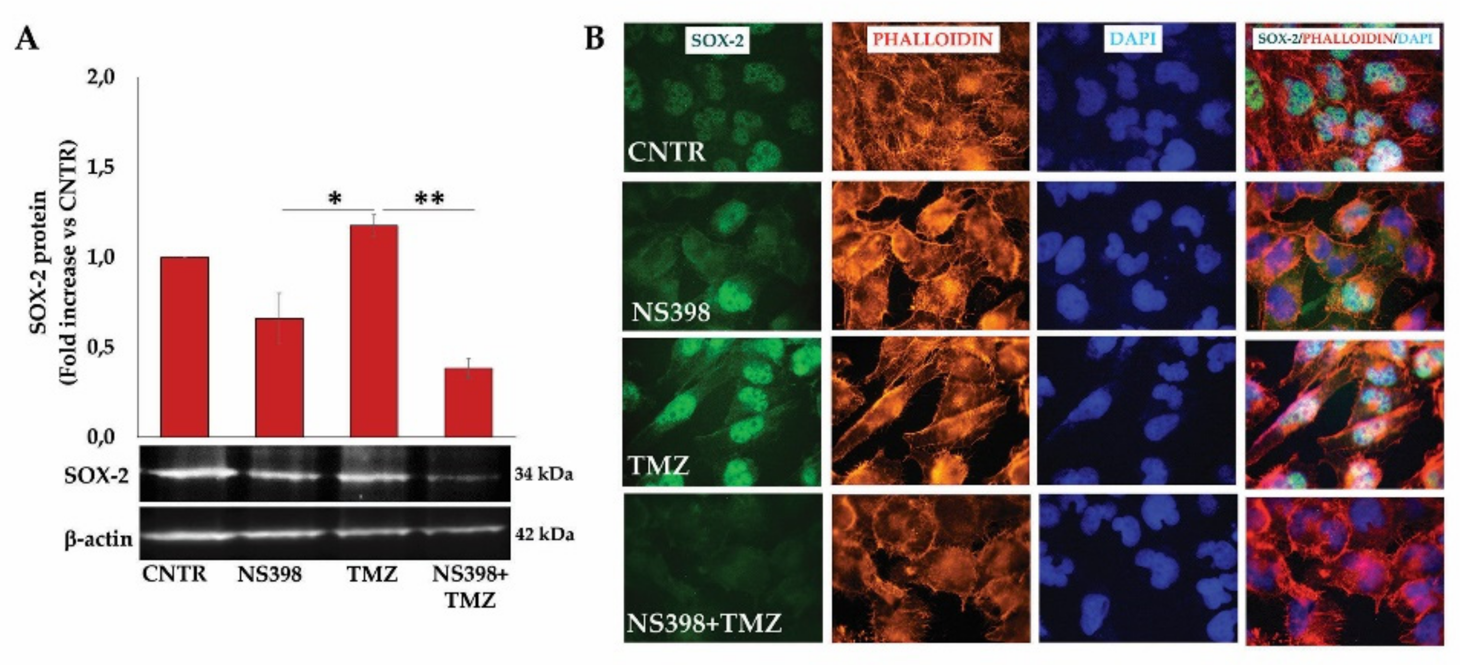 Ijms 23 01545 g012 550