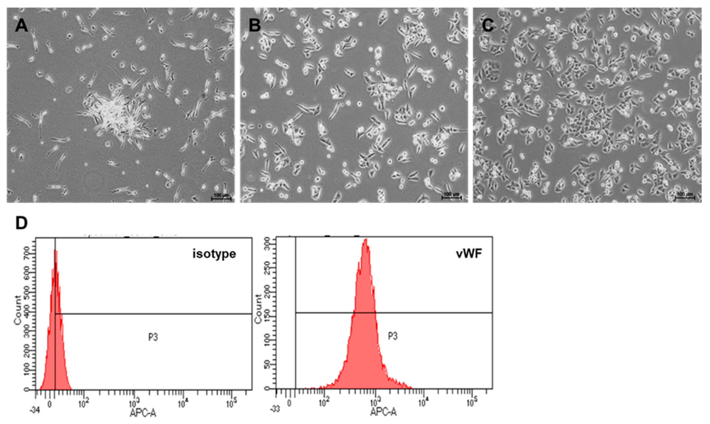 Ijms 23 01546 g001 550