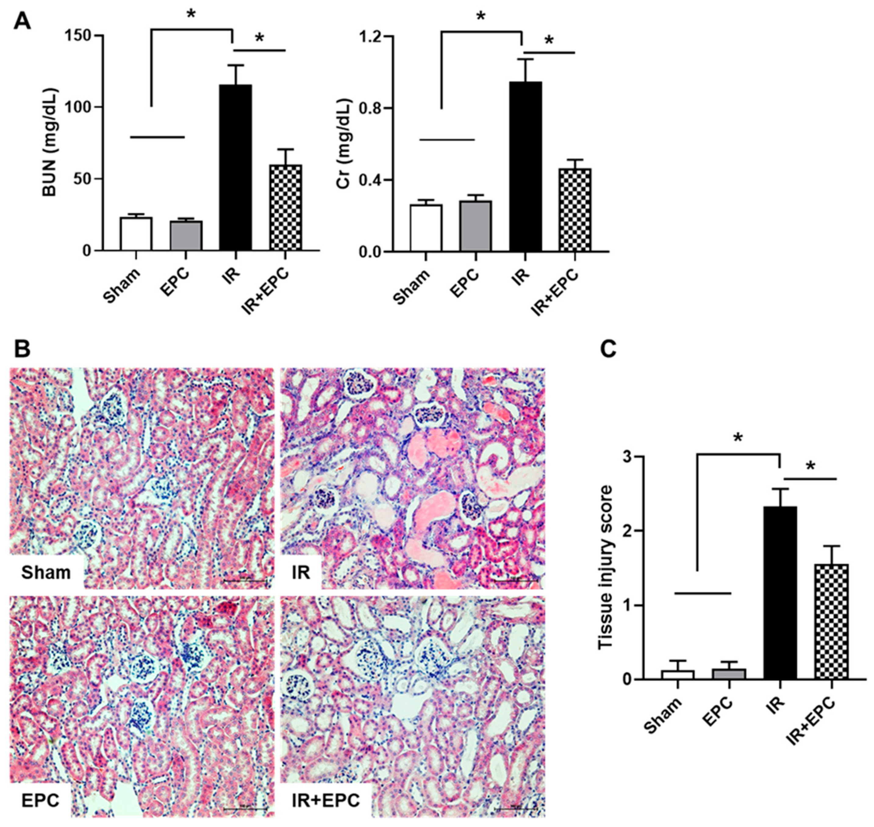 Ijms 23 01546 g002 550