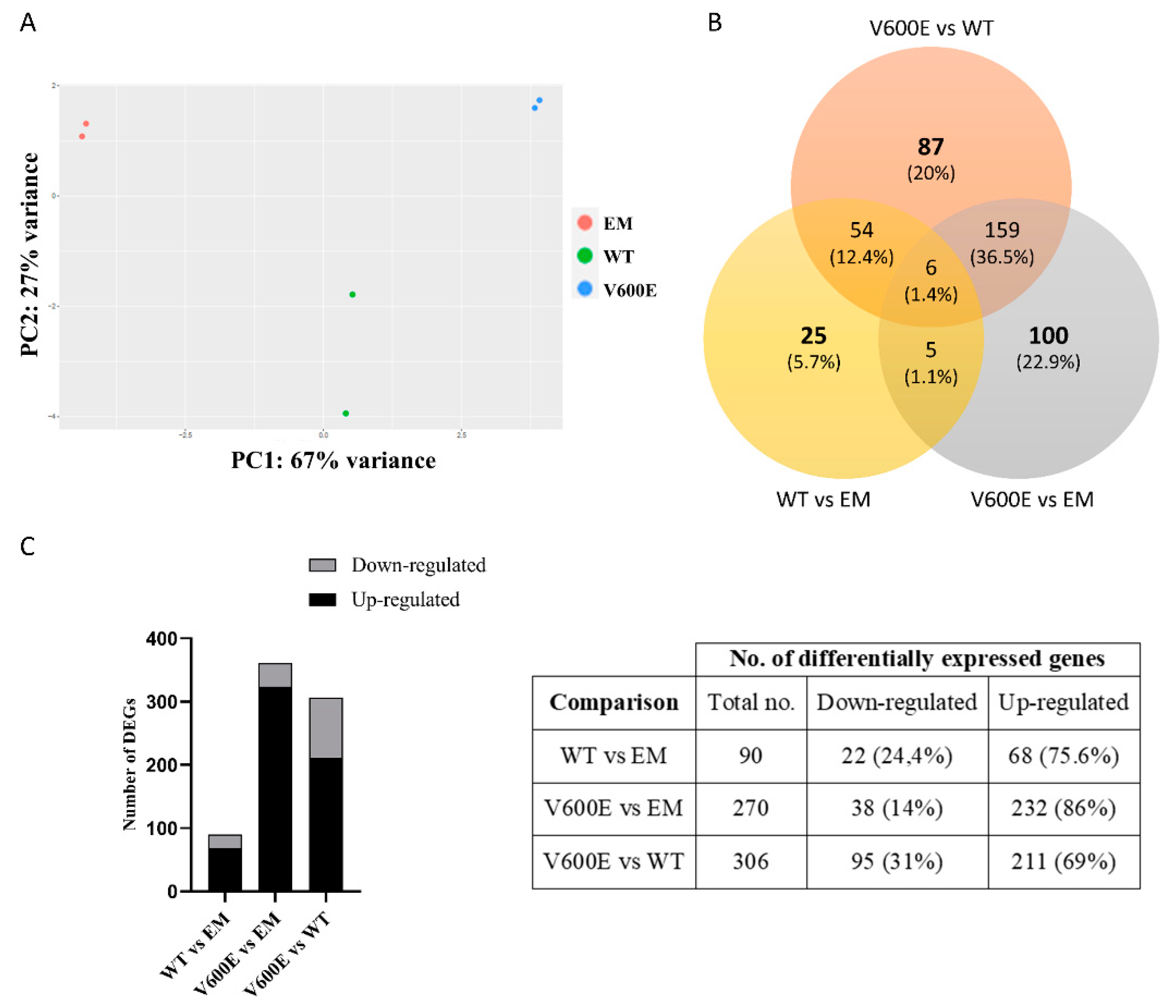 Ijms 23 01548 g006 Ijms 23 01548 g006