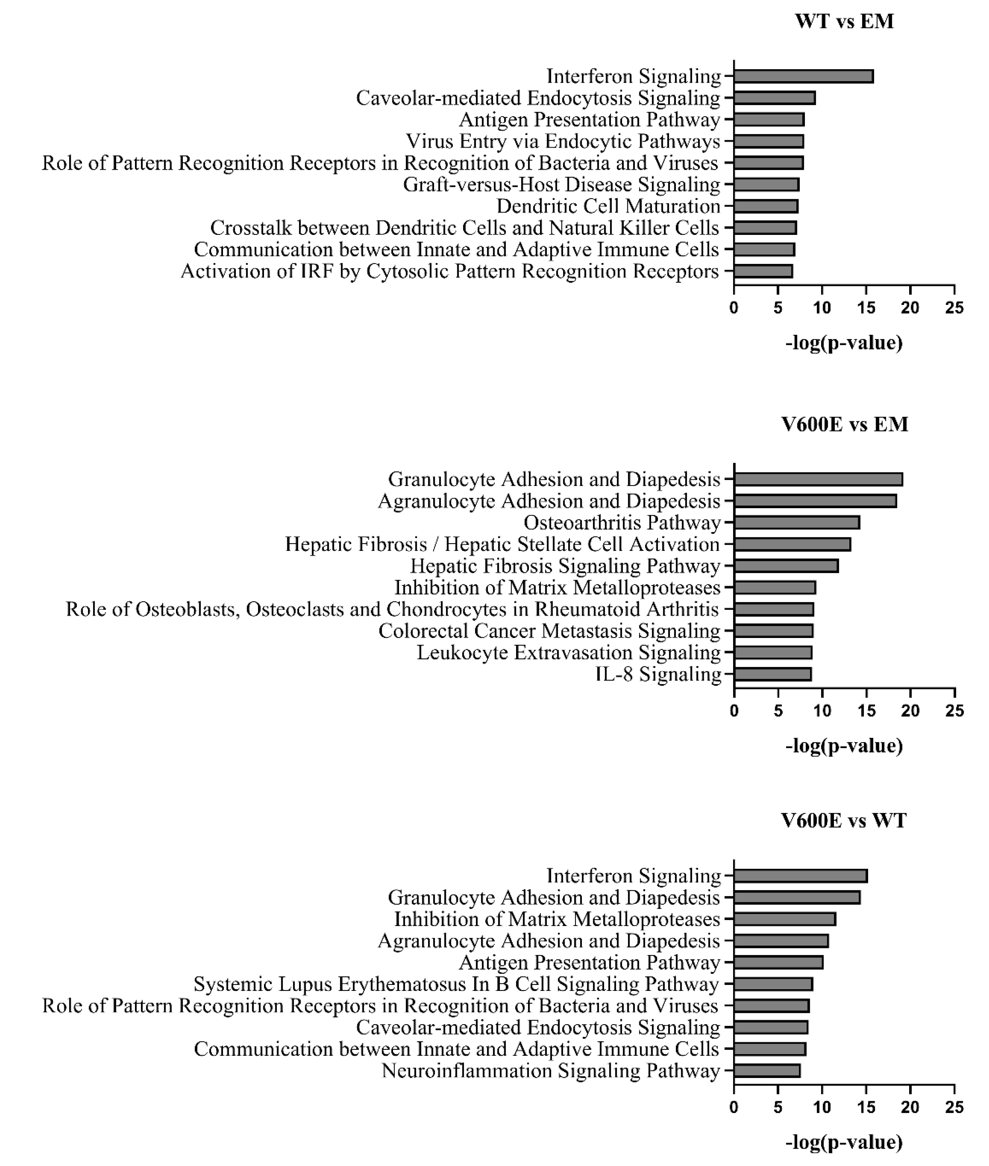 Ijms 23 01548 g009 Ijms 23 01548 g009