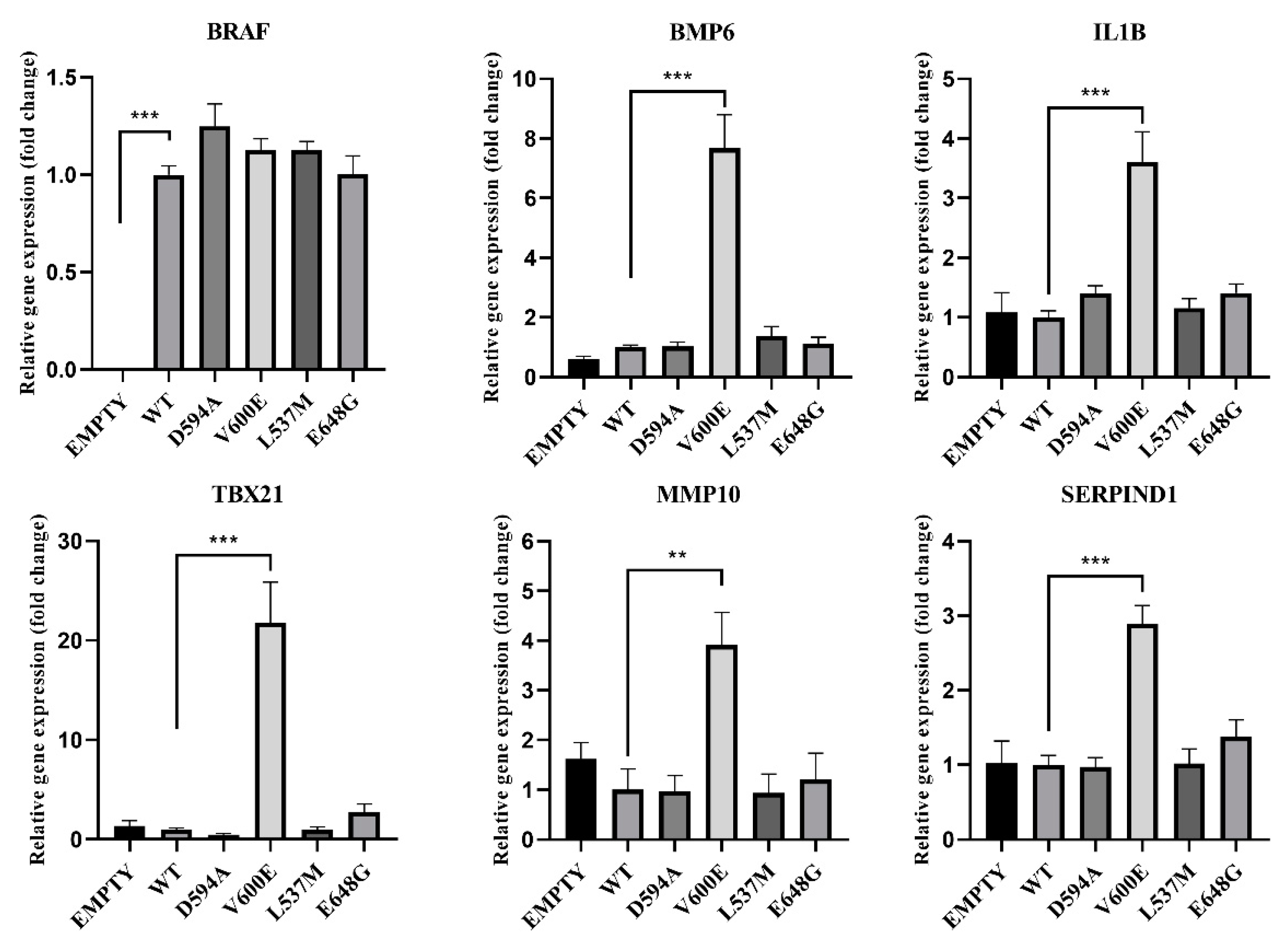 Ijms 23 01548 g011 Ijms 23 01548 g011