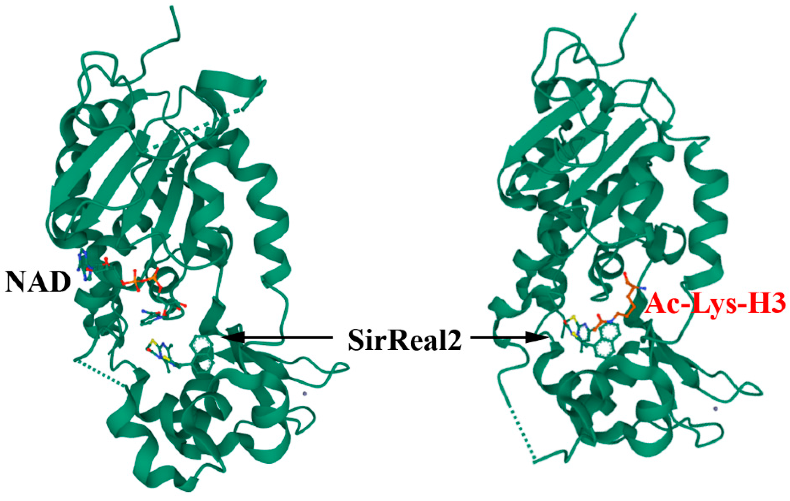 Ijms 23 01550 g003 Ijms 23 01550 g003