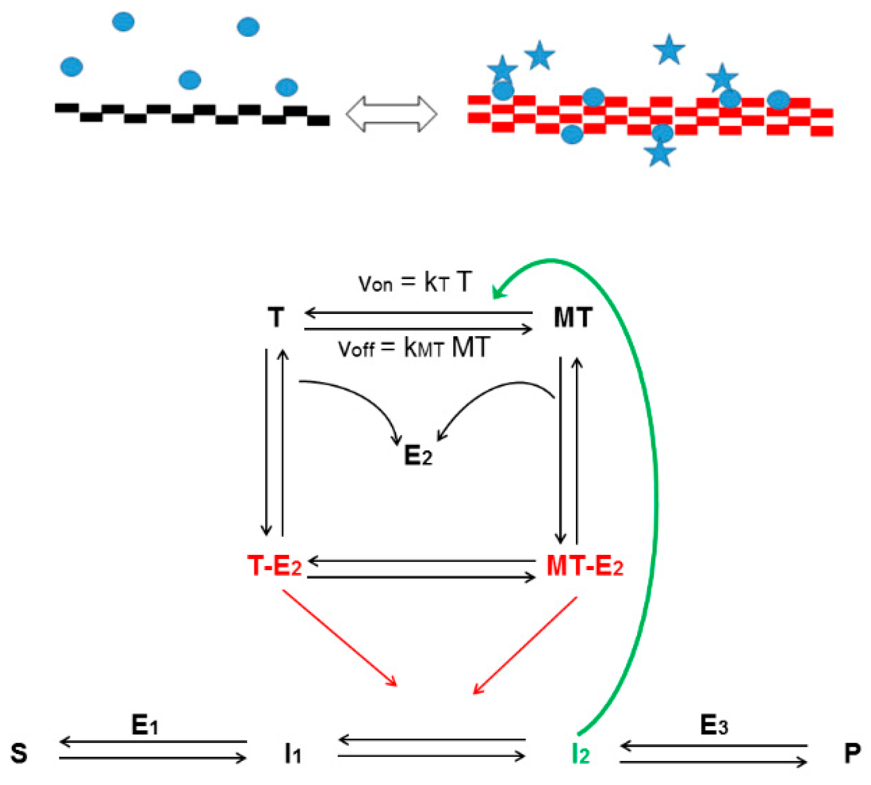 Ijms 23 01550 g006 Ijms 23 01550 g006