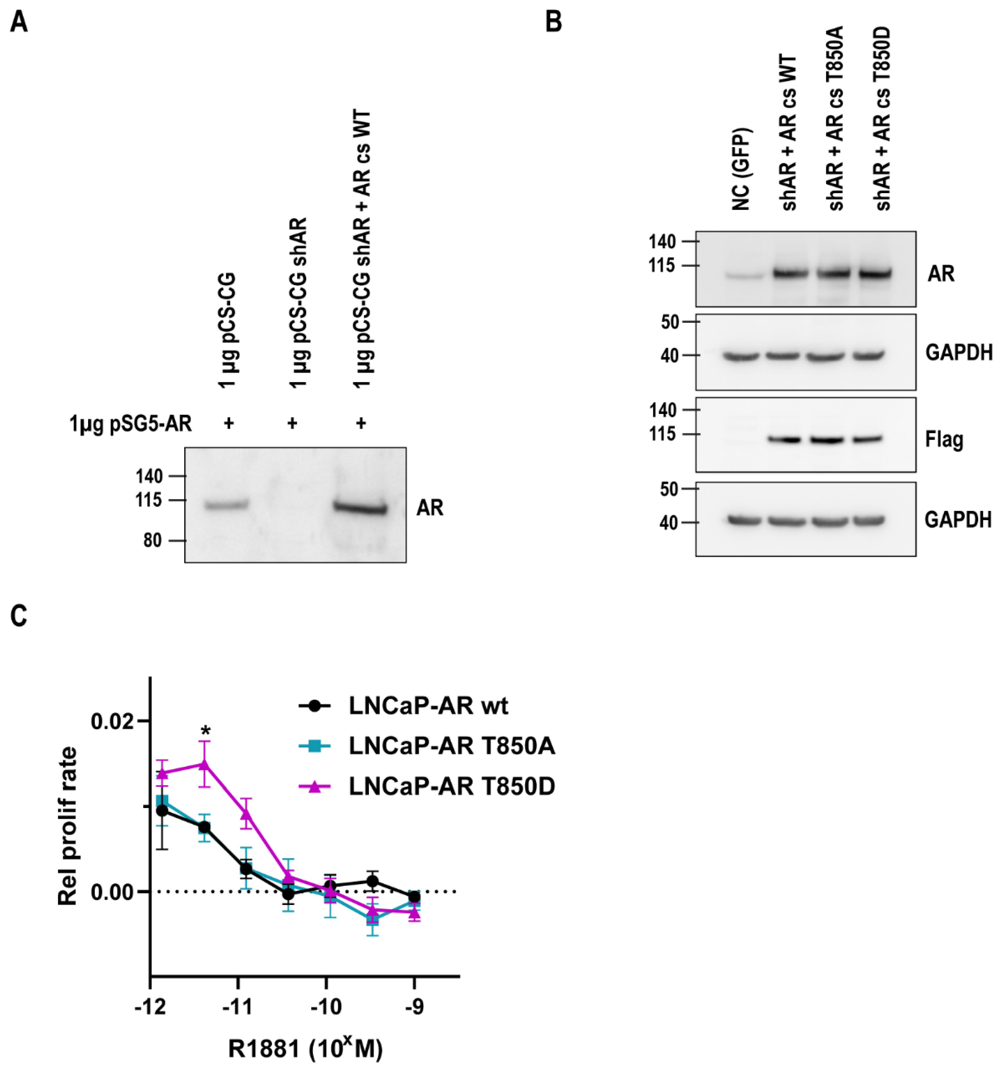 Ijms 23 01557 g002 550