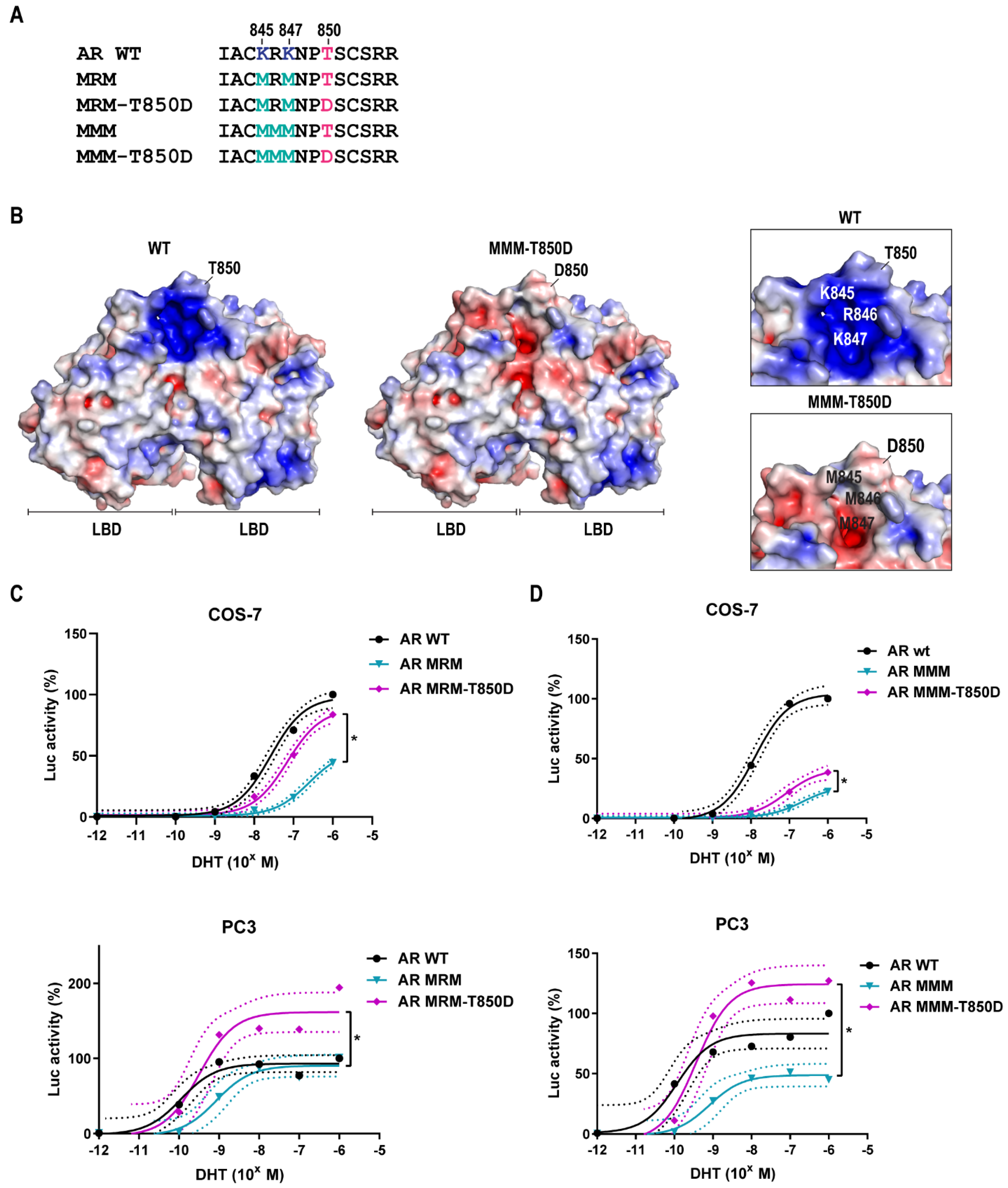 Ijms 23 01557 g004 550