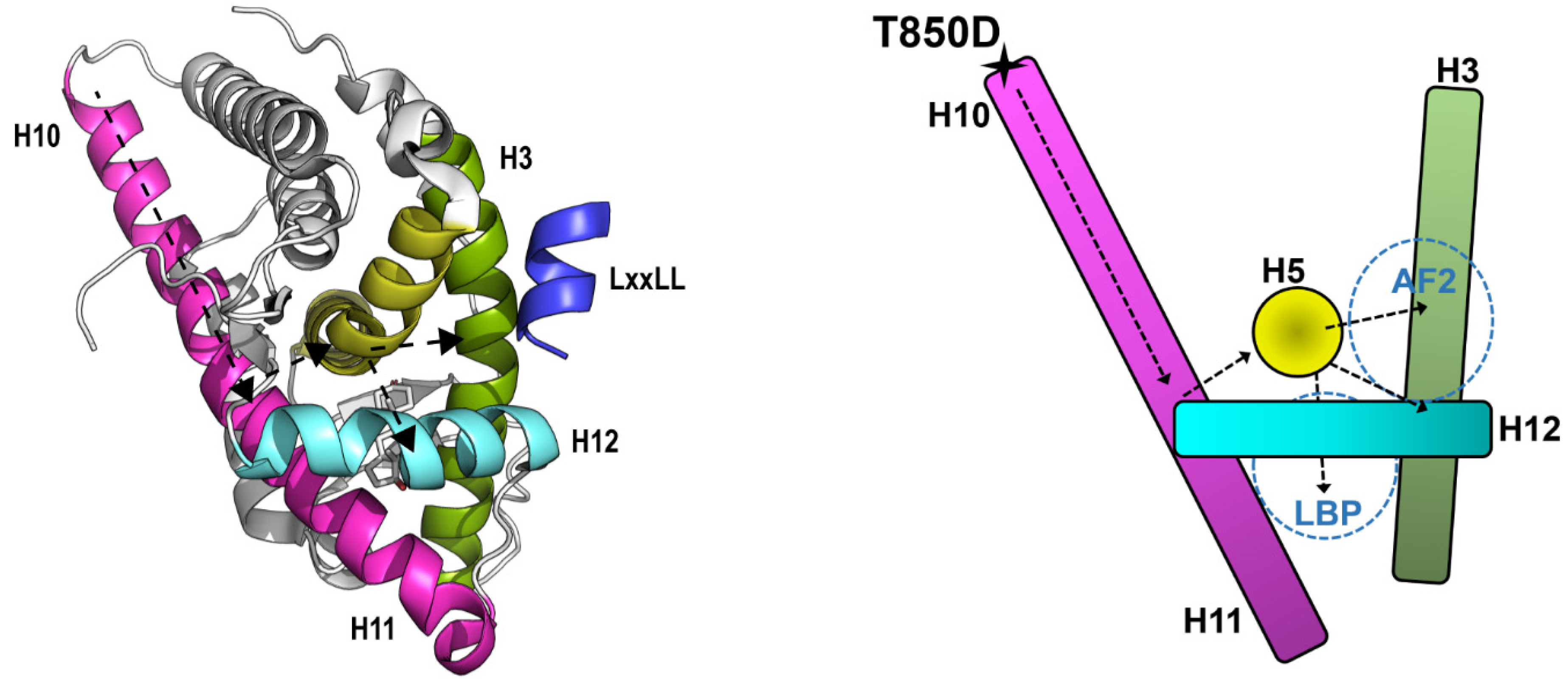 Ijms 23 01557 g008 550