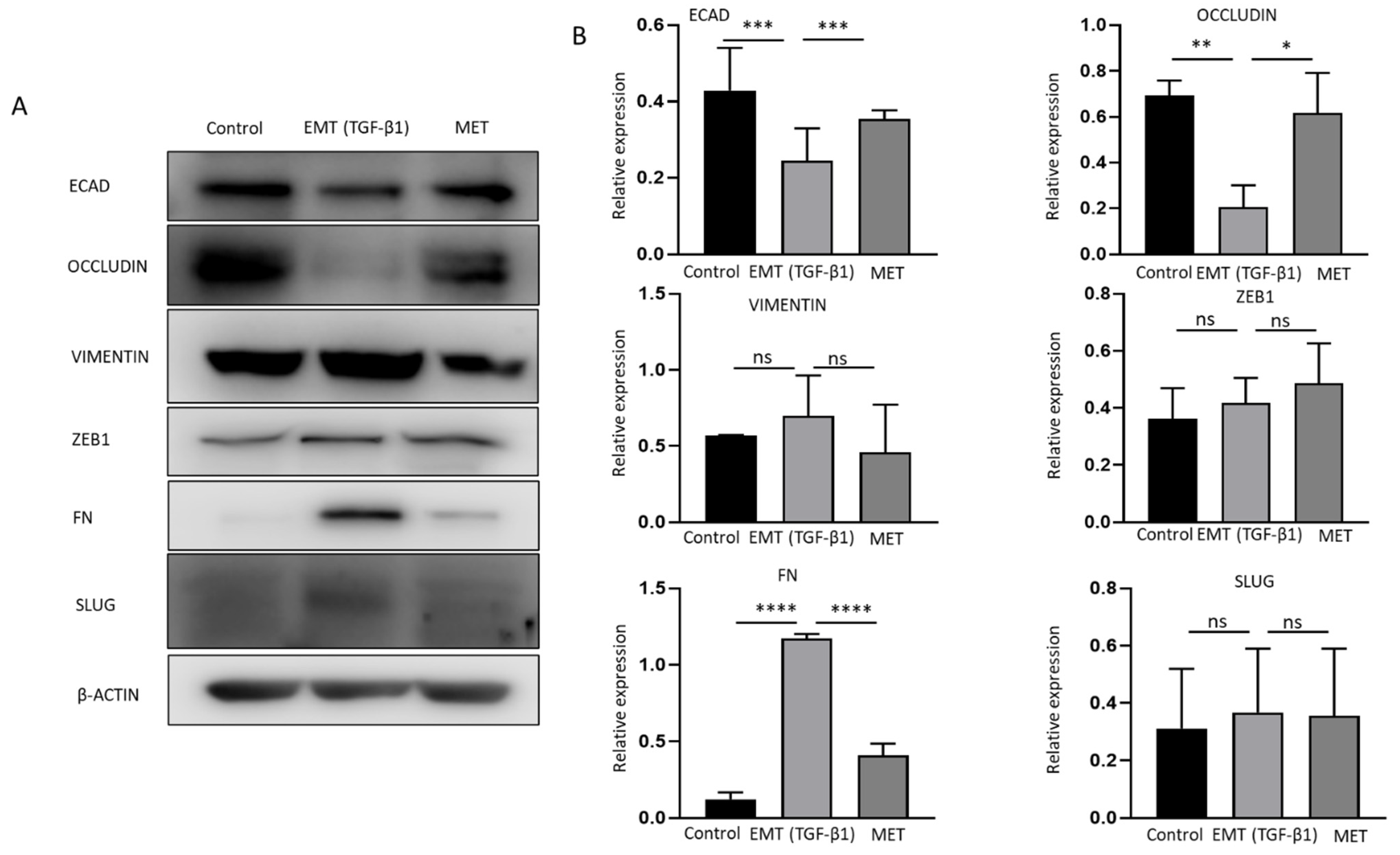 Ijms 23 01565 g005 Ijms 23 01565 g005