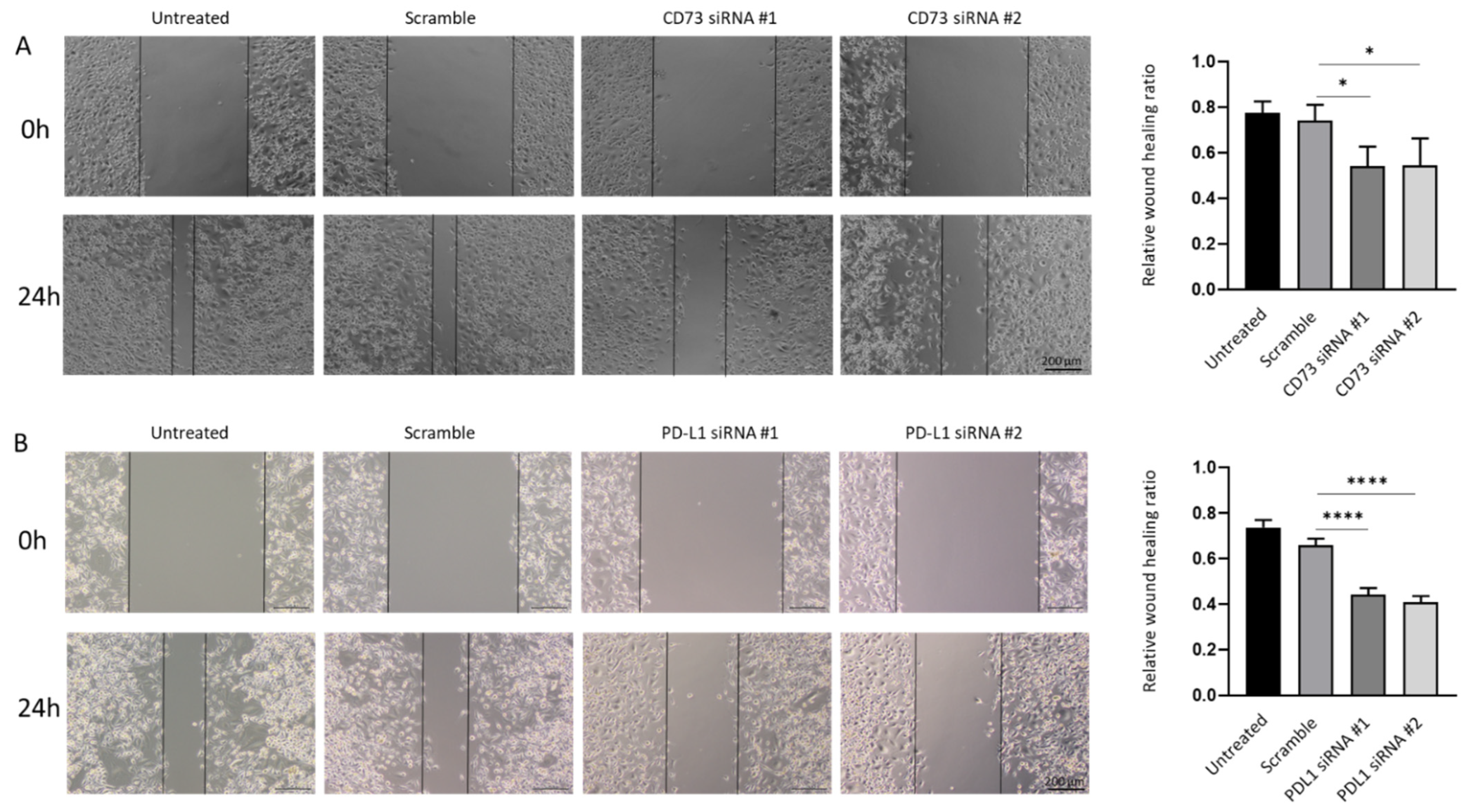 Ijms 23 01565 g010 Ijms 23 01565 g010