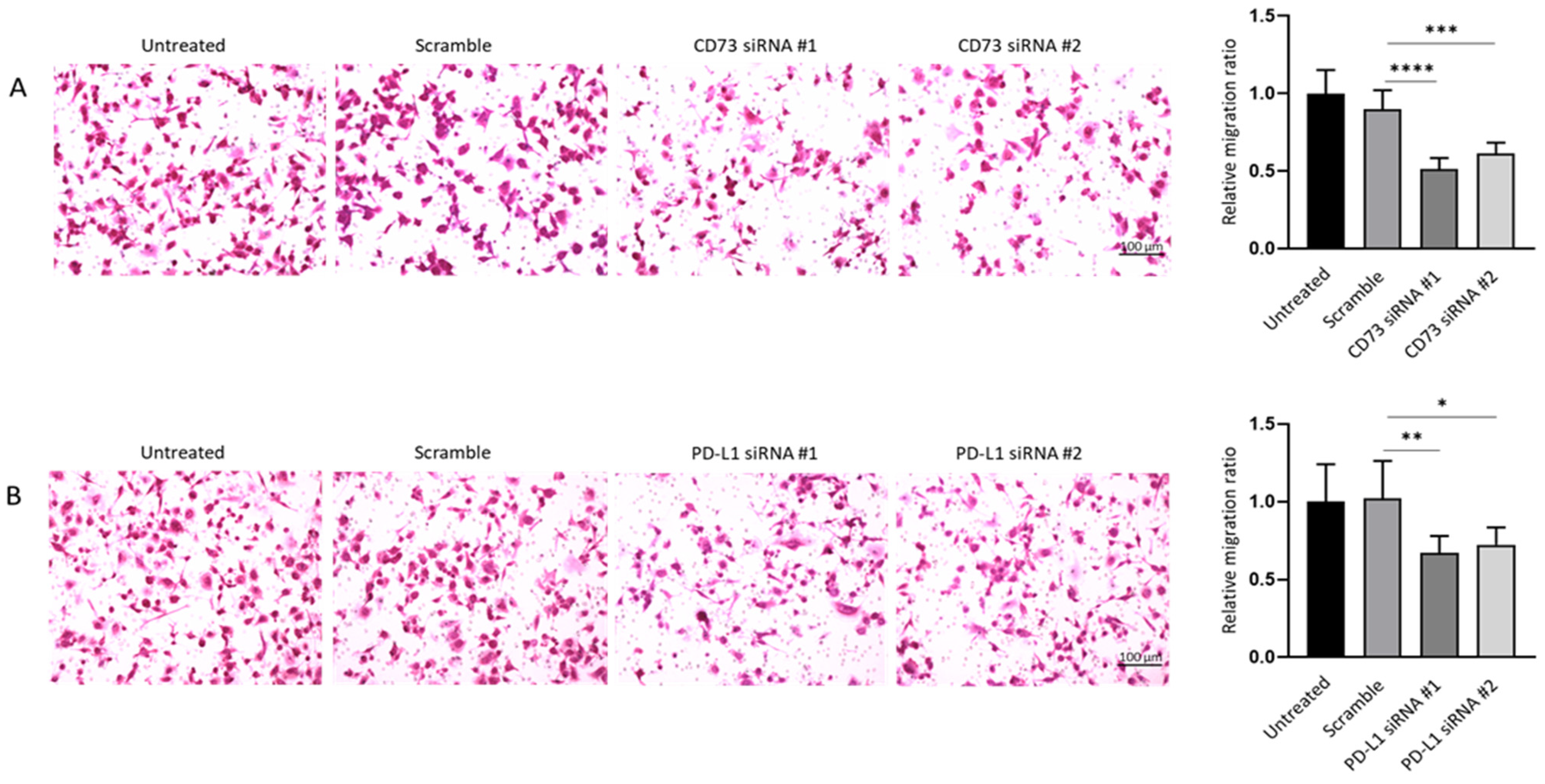 Ijms 23 01565 g011 Ijms 23 01565 g011