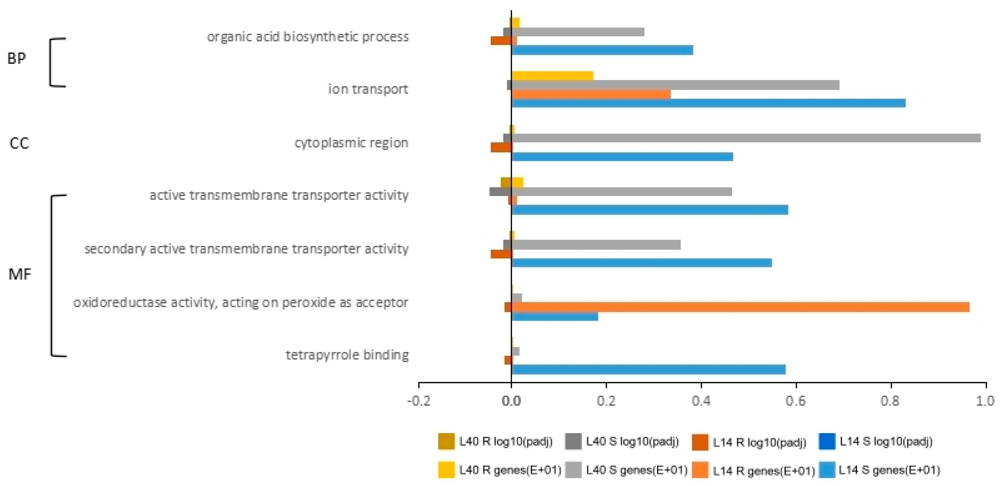 Ijms 23 01573 g007 Ijms 23 01573 g007