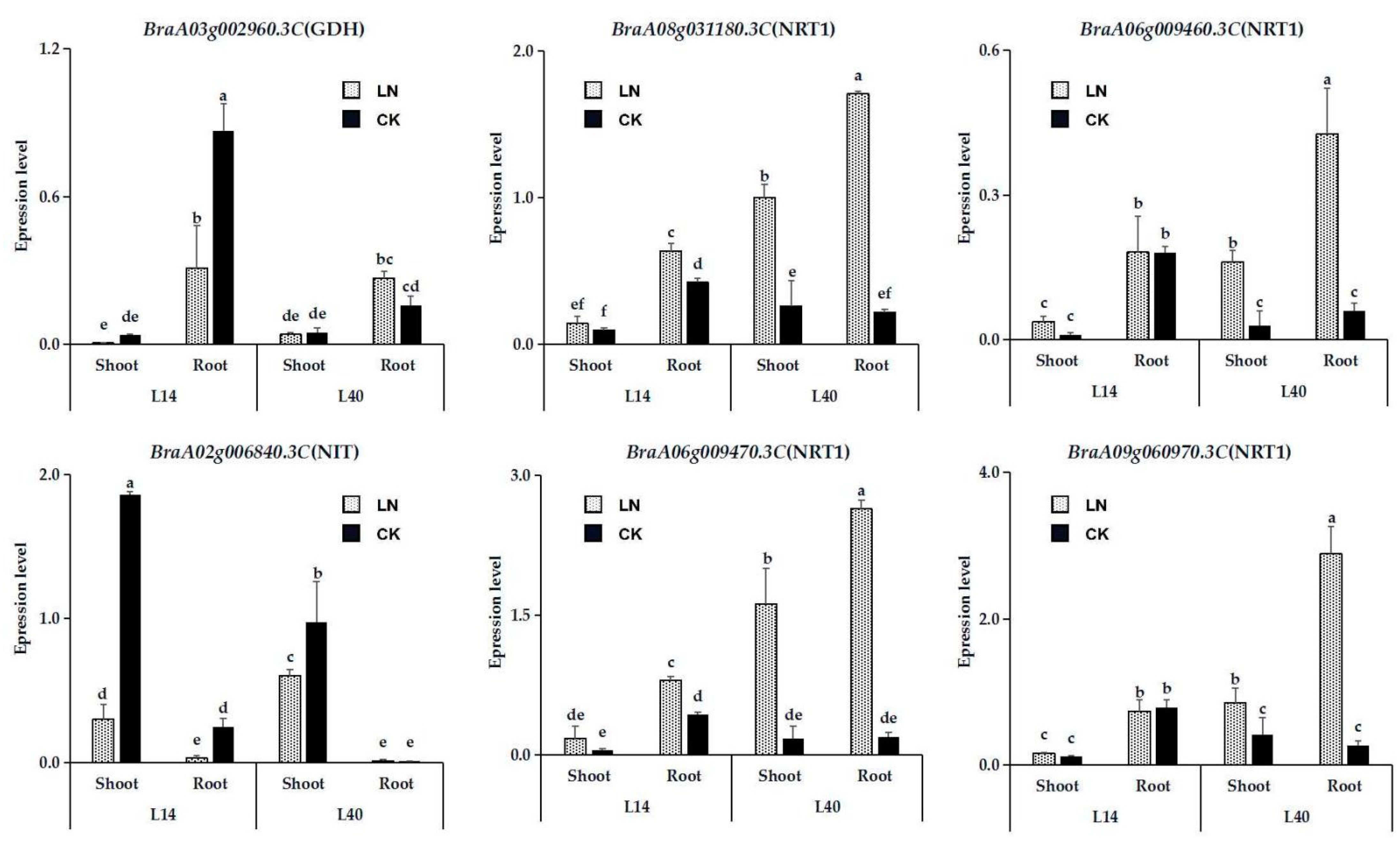 Ijms 23 01573 g008 Ijms 23 01573 g008
