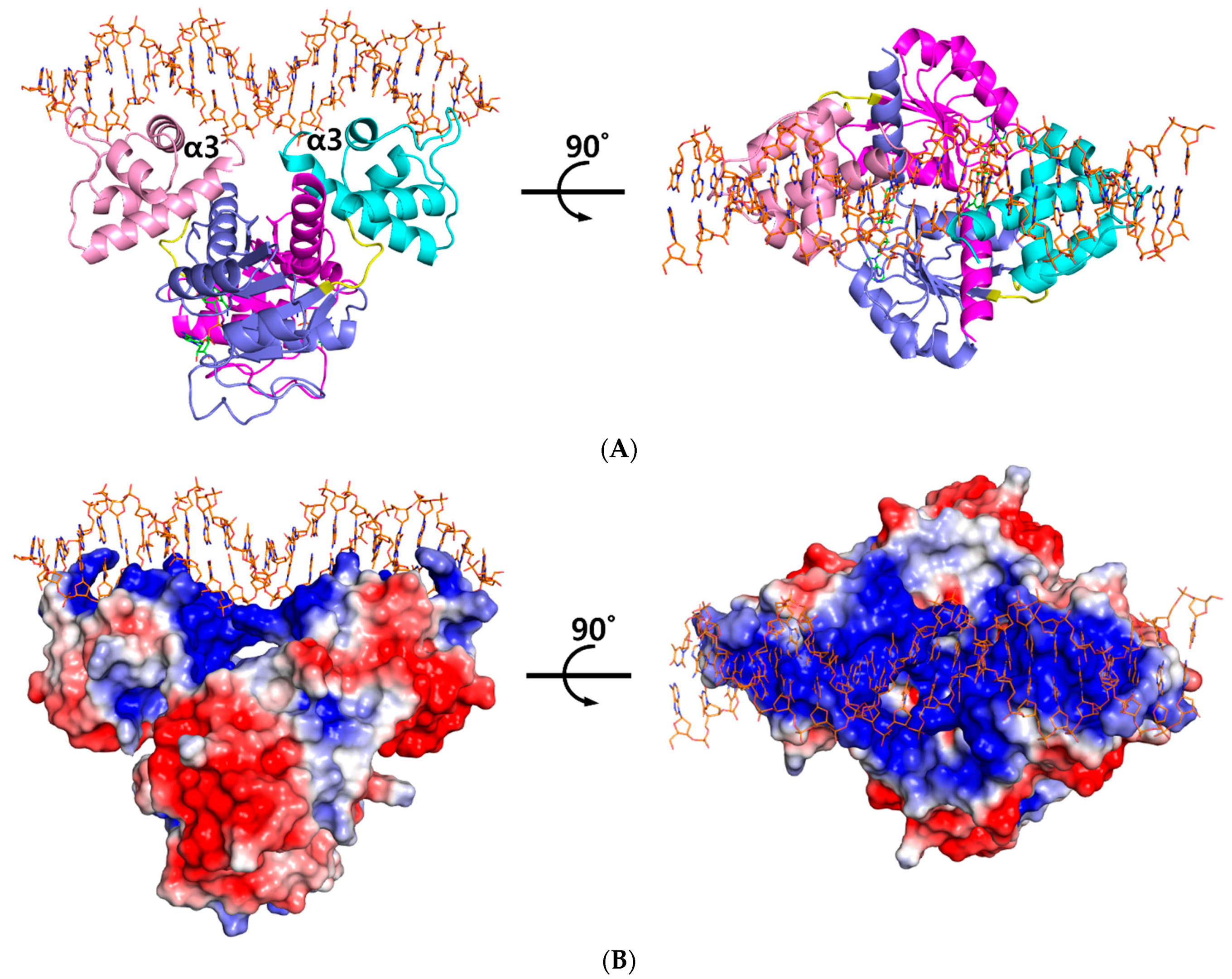 Ijms 23 01578 g001 550