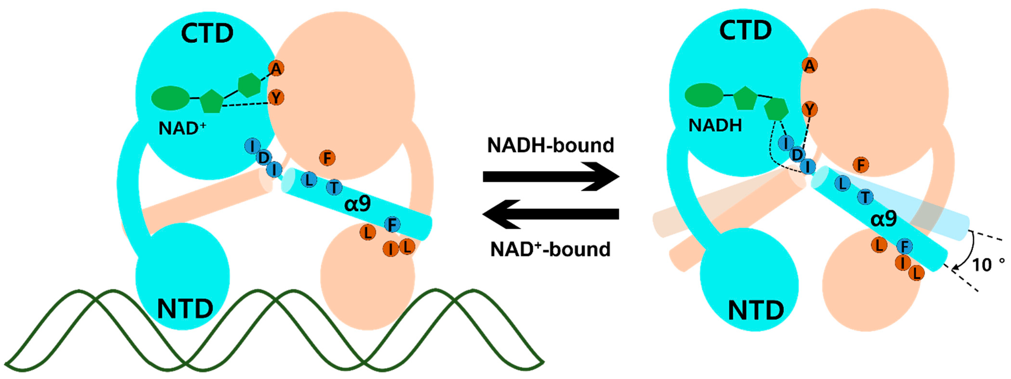 Ijms 23 01578 g004 550