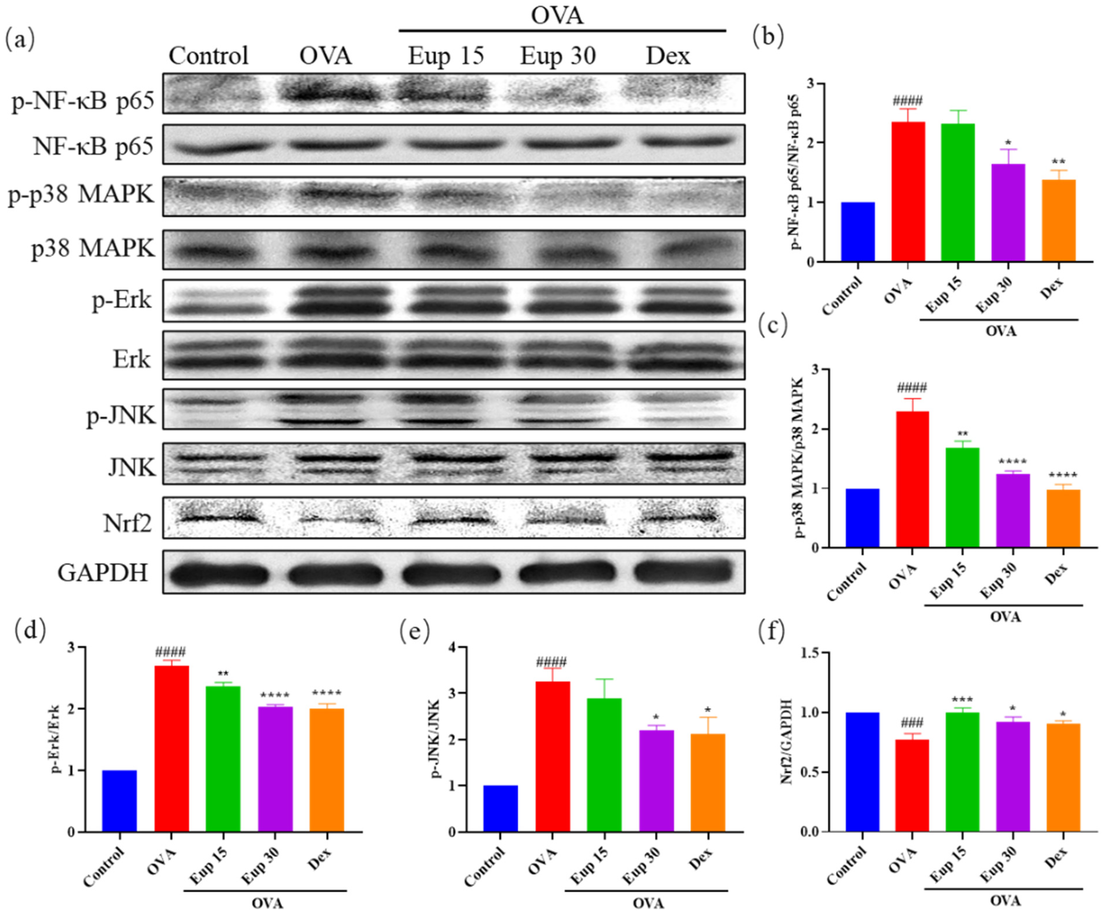 Ijms 23 01582 g005 550