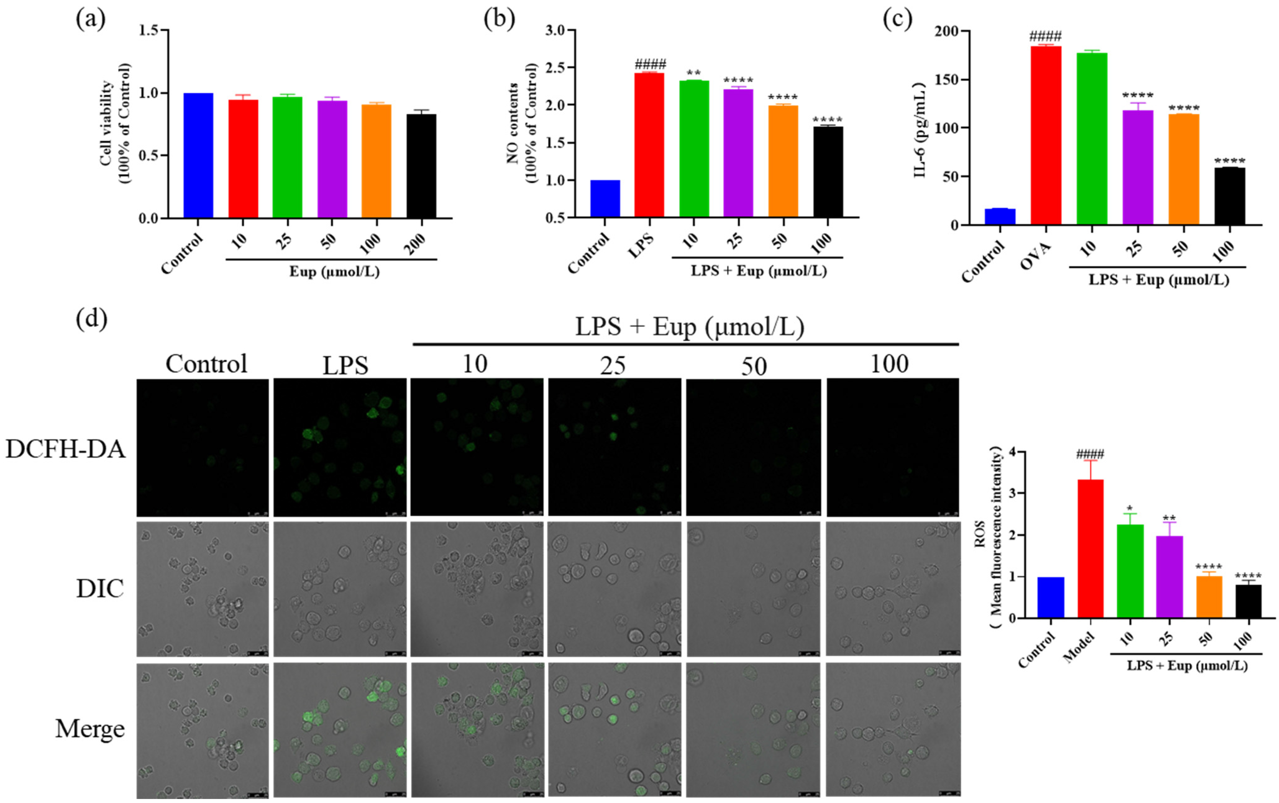 Ijms 23 01582 g006 550