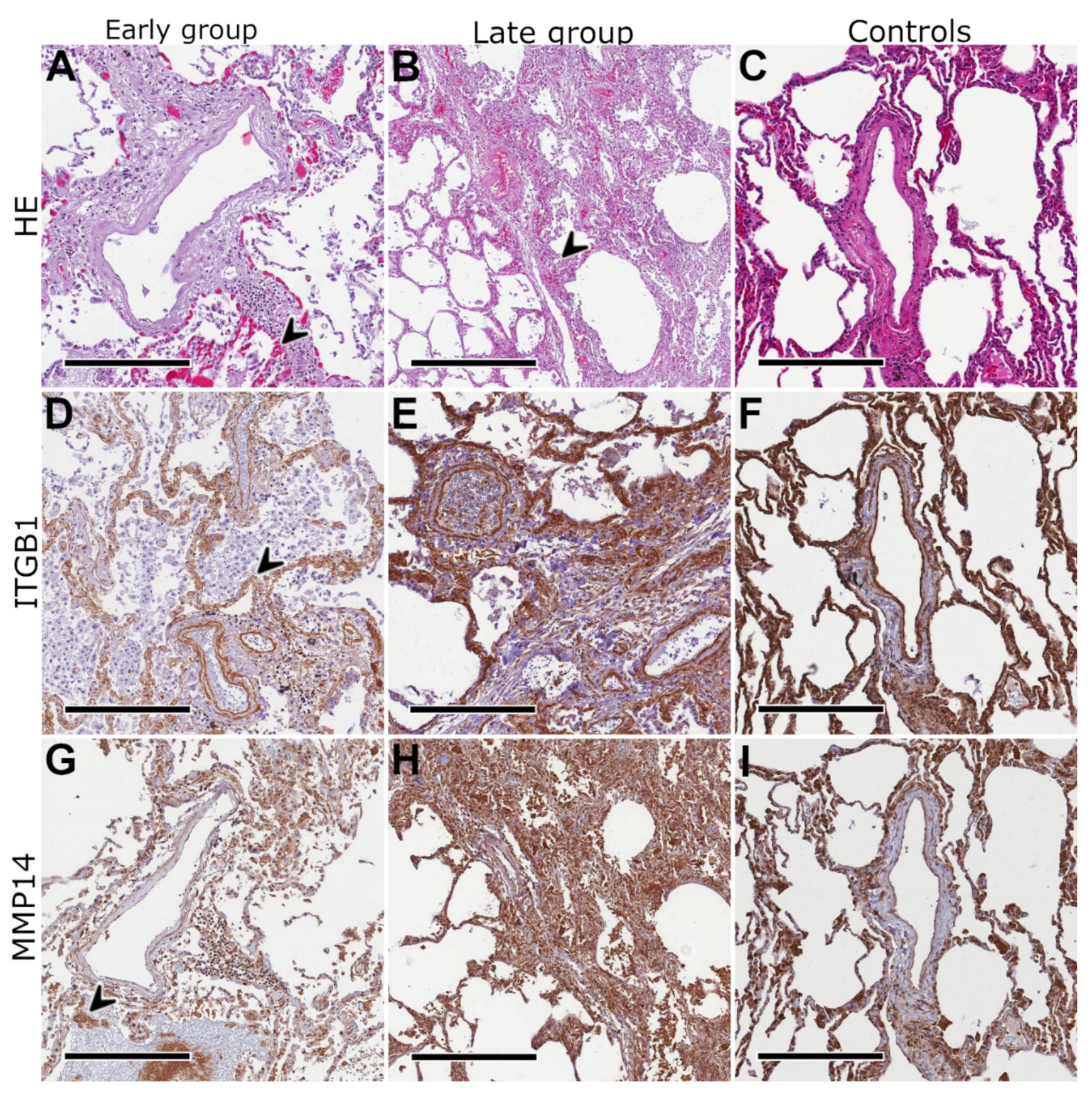 Ijms 23 01583 g003 550